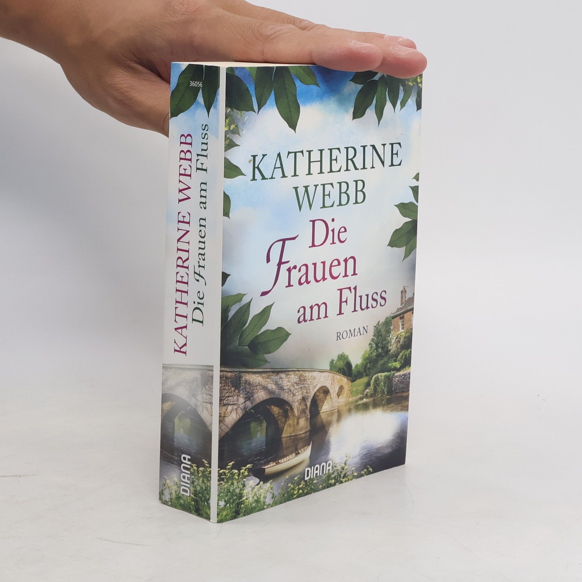 Katherine Webb Die Frauen am Fluss