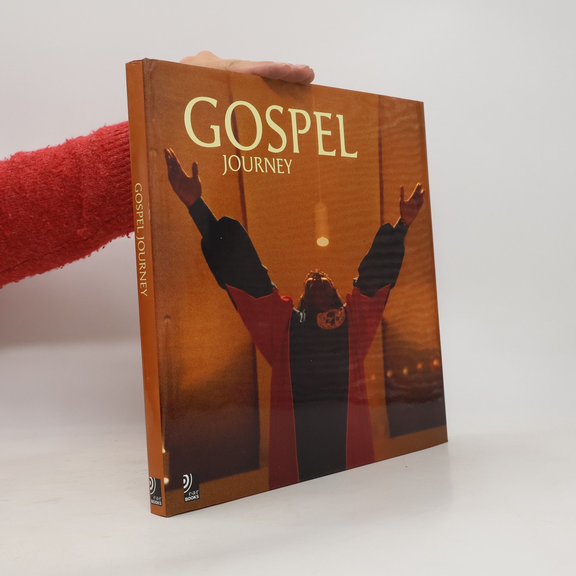 AA.VV. Gospel journey