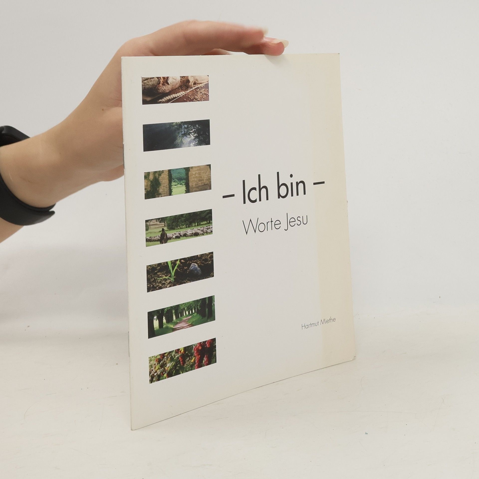 Hartmut Miethe Ich bin - Worte Jesu