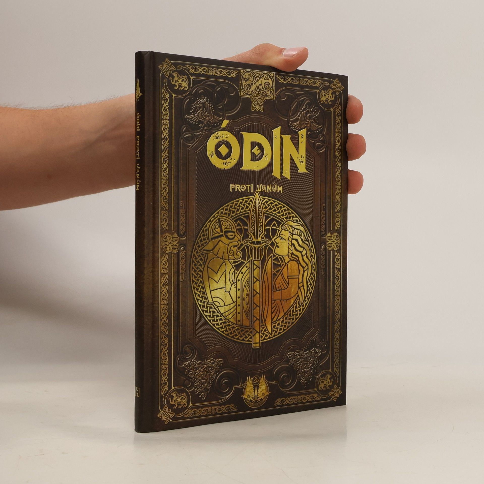 Kolektiv autorů Ódin proti Vanům