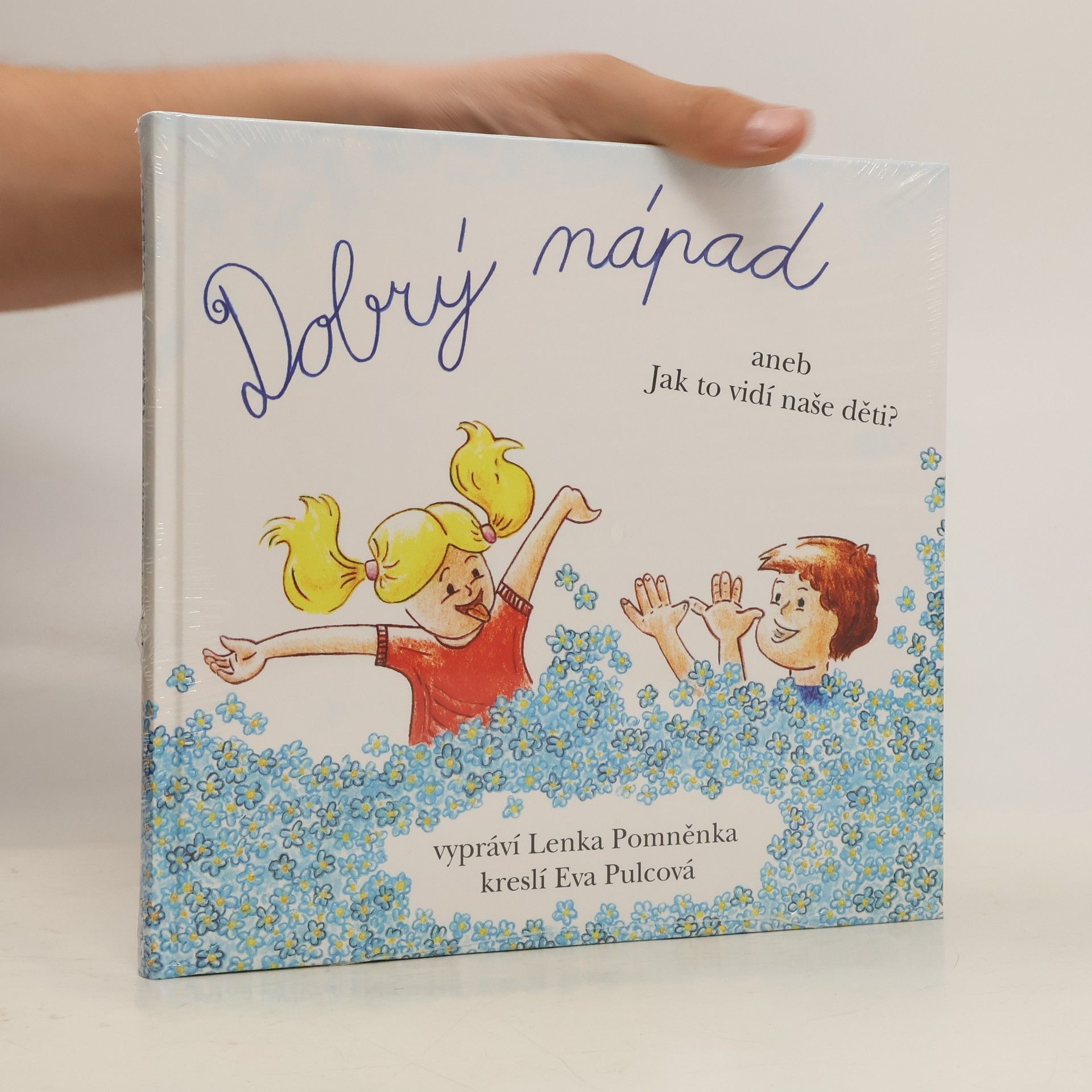 Lenka Pomněnka Dobrý nápad aneb Jak to vidí naše děti?