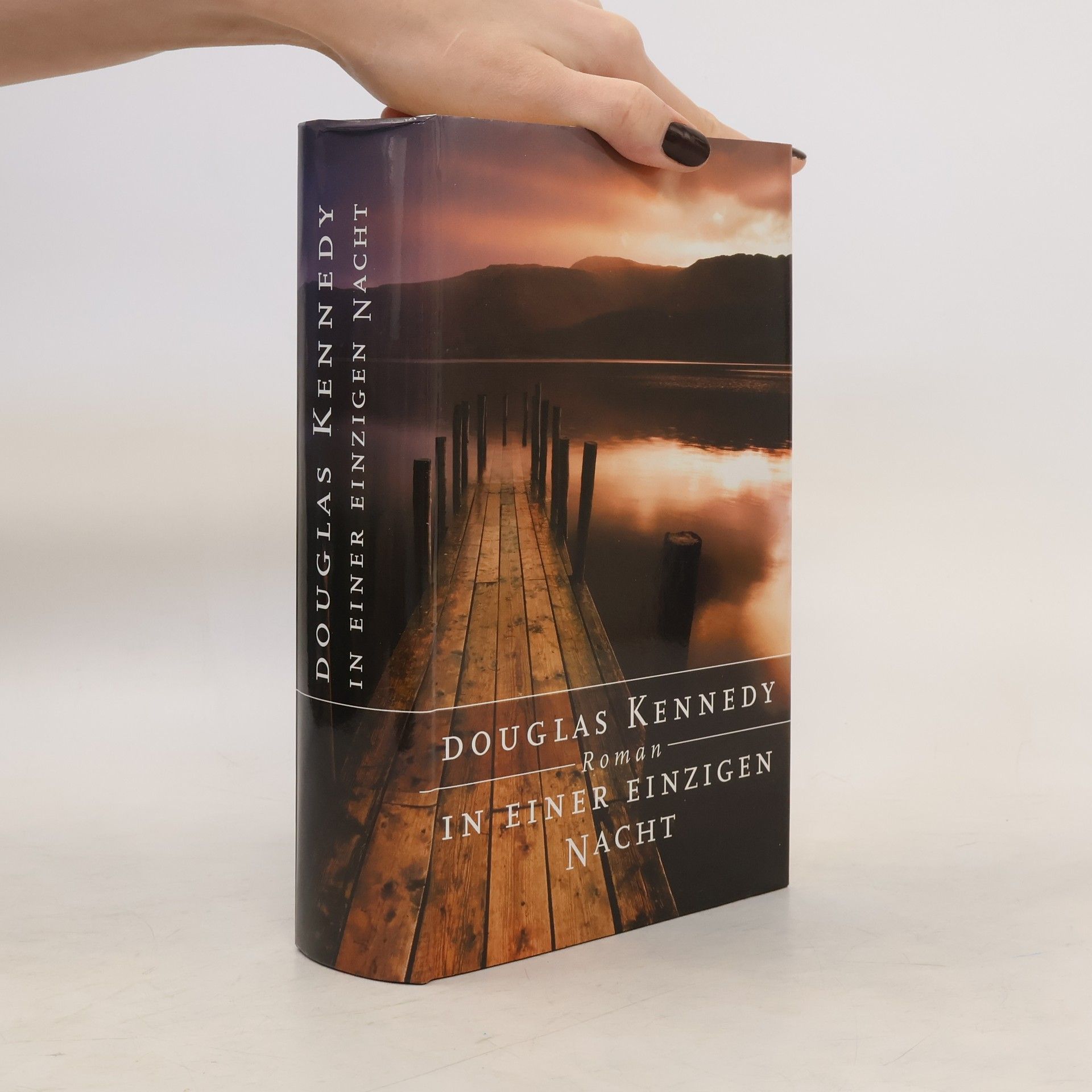 Douglas Kennedy In einer einzigen Nacht