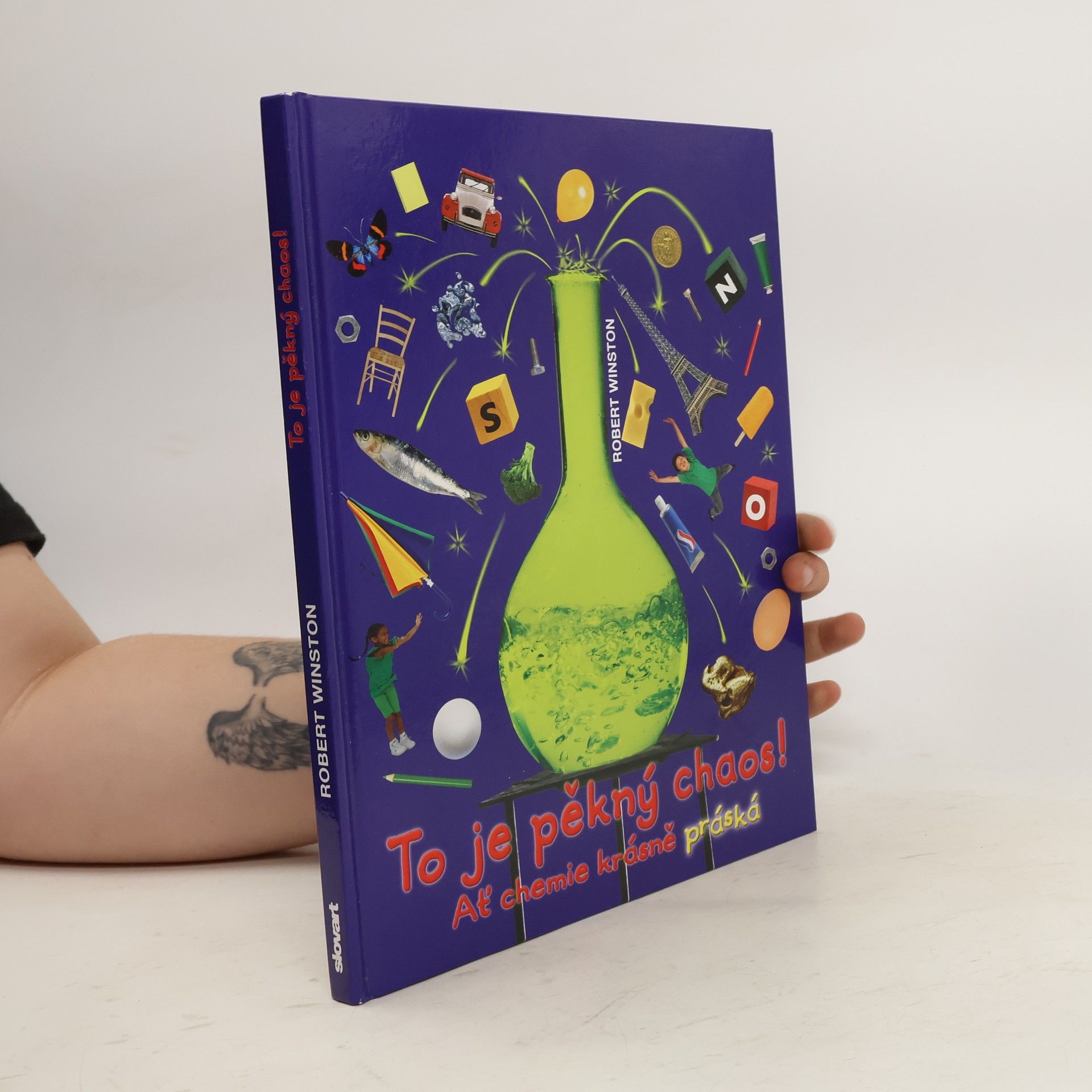 Robert Winston To je pěkný chaos!