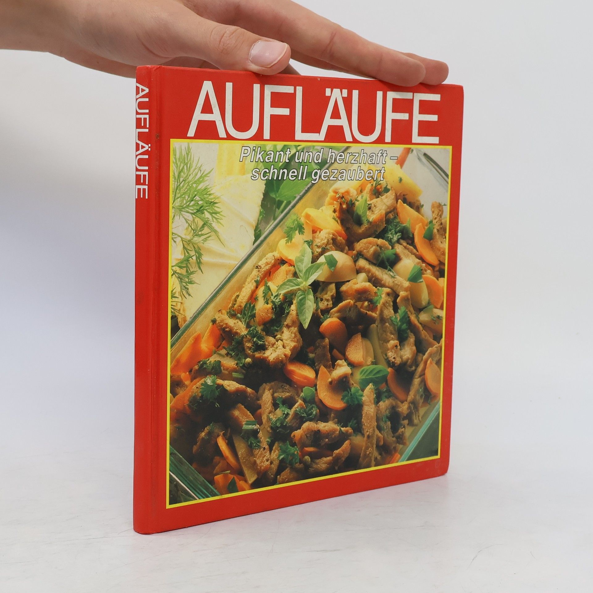 Auteurscollectief Aufläufe