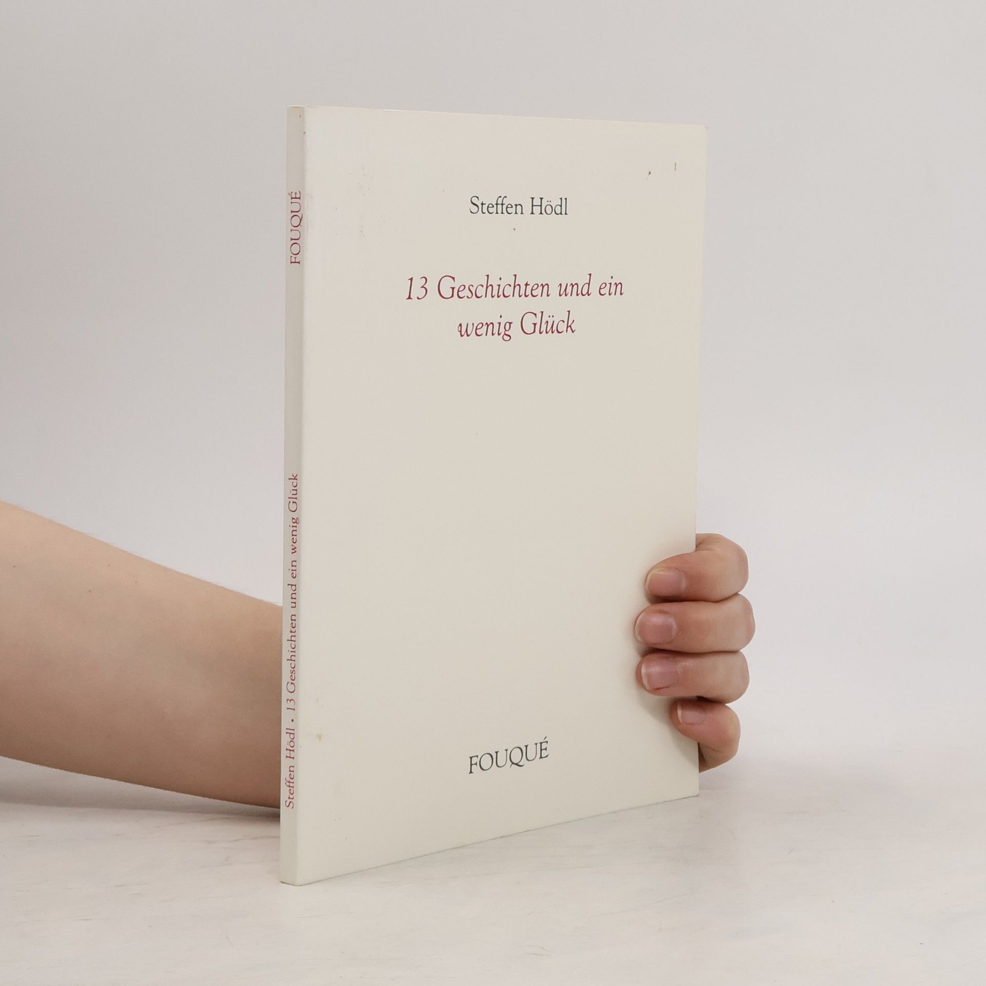 Steffen Hödl 13 Geschichten und ein wenig Glück
