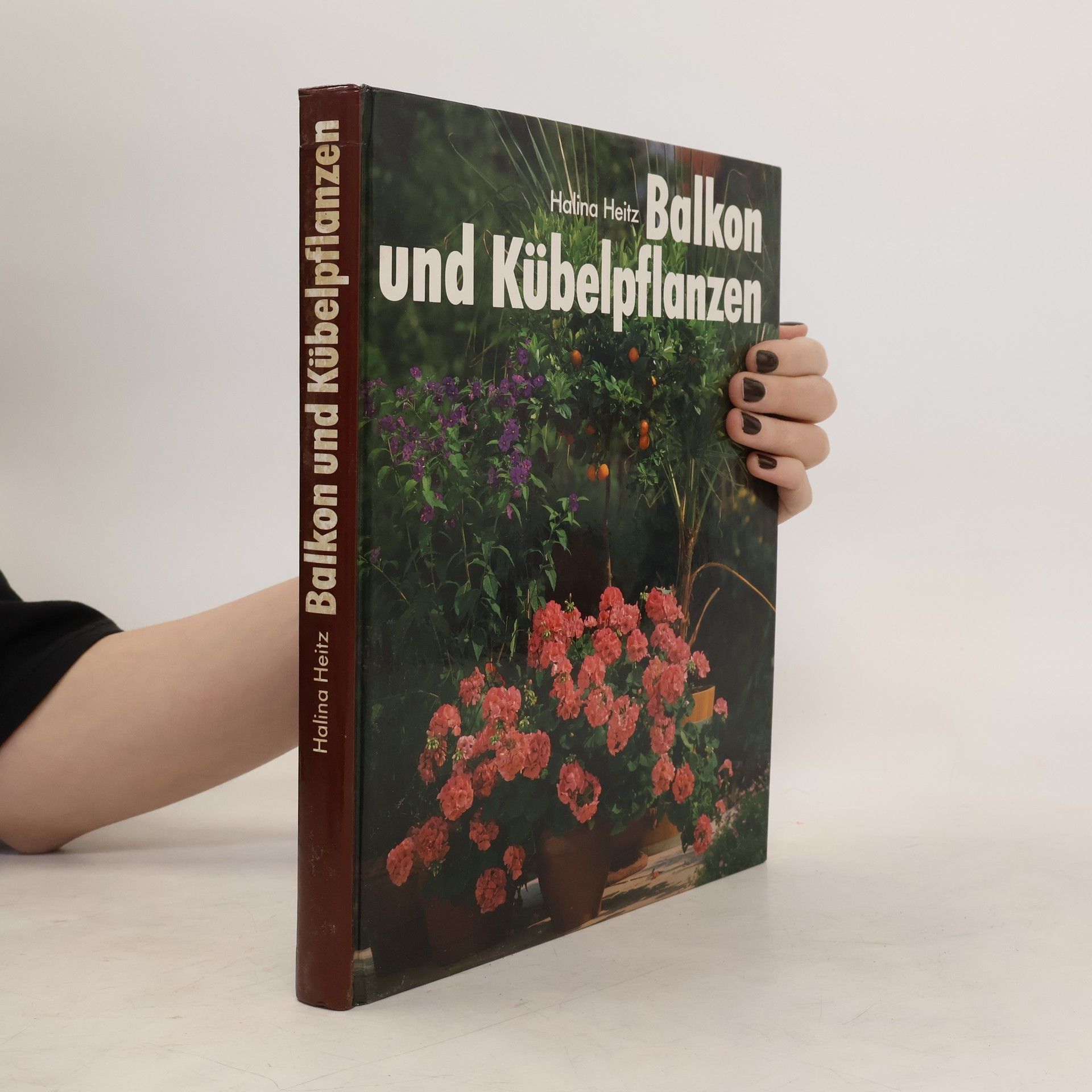 Balkon und Kübelpflanzen