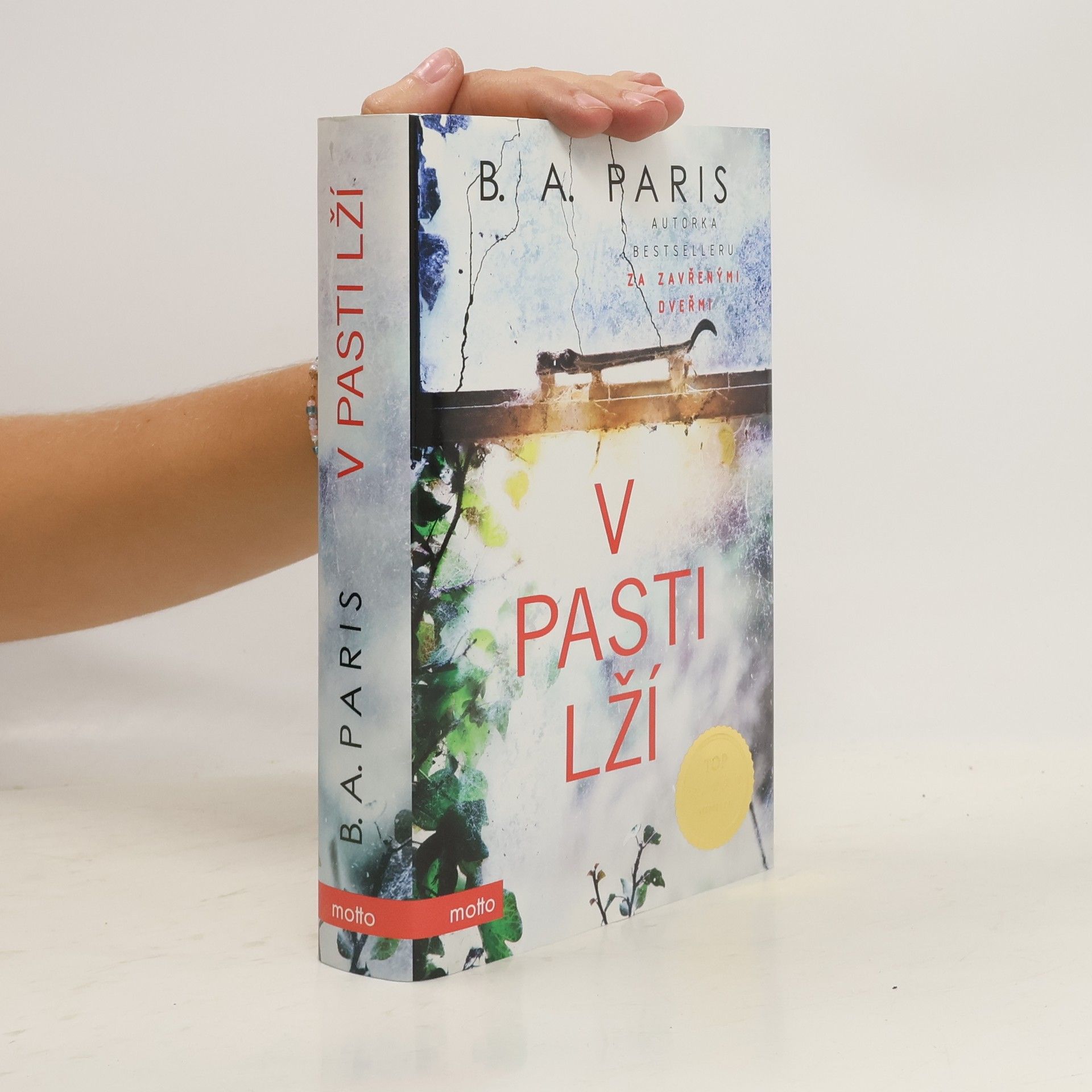 B. A. Paris V pasti lží