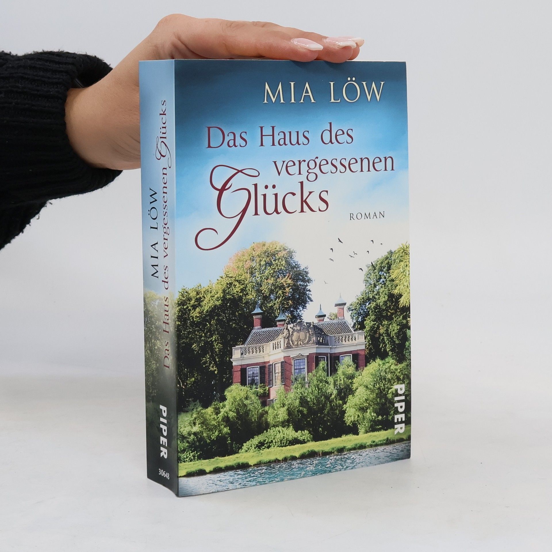 Das Haus des vergessenen Glücks