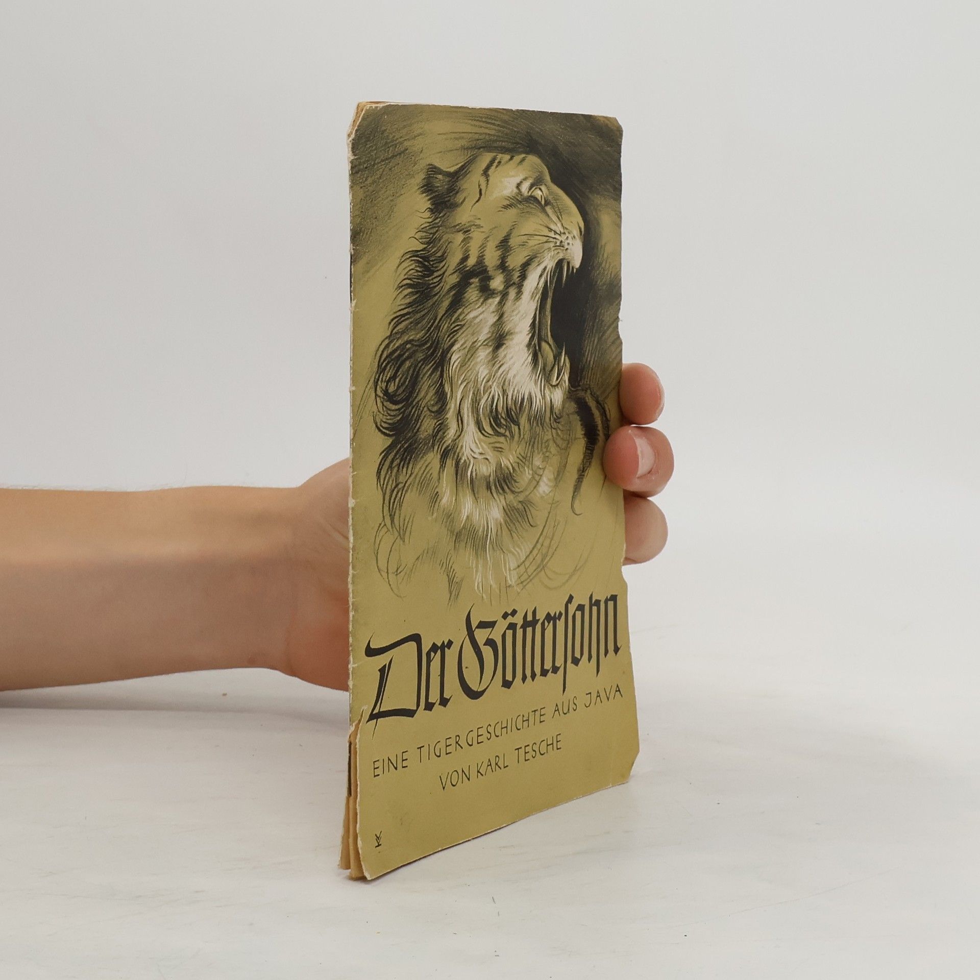 Autorenkollektiv Der Göttersohn