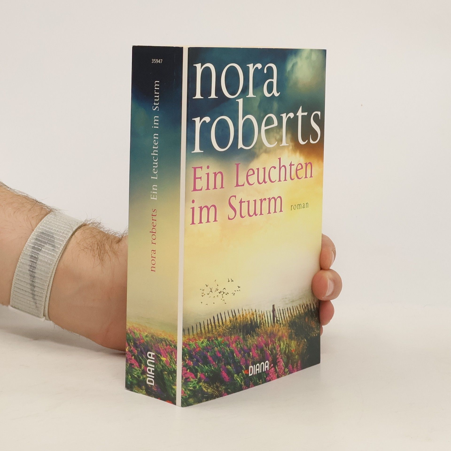 Nora Roberts Ein Leuchten im Sturm