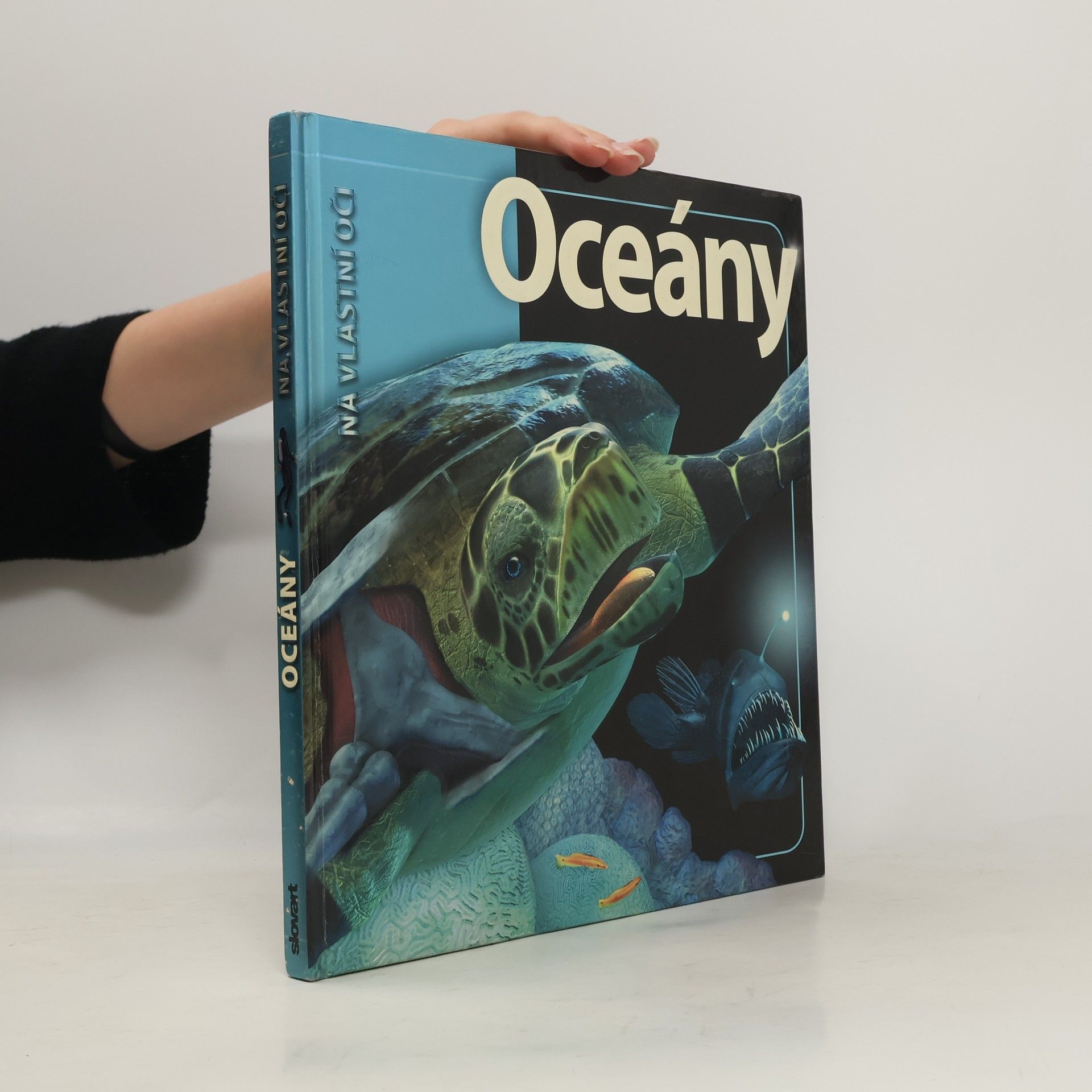 Beverly McMillan Oceány