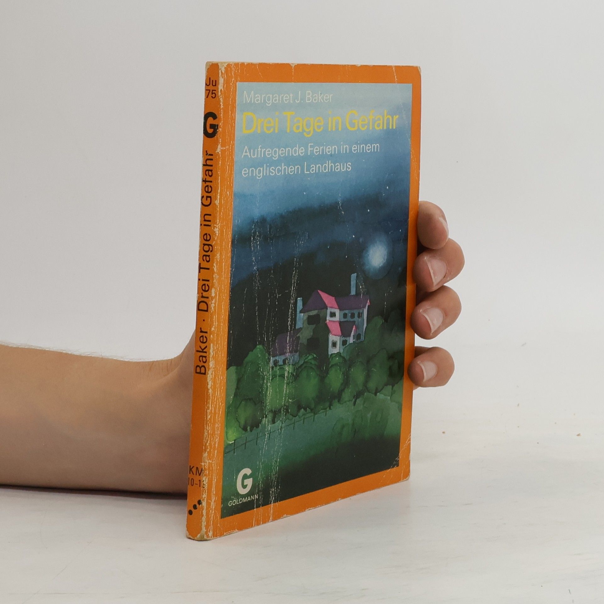 Margaret Joyce Baker Drei Tage in Gefahr