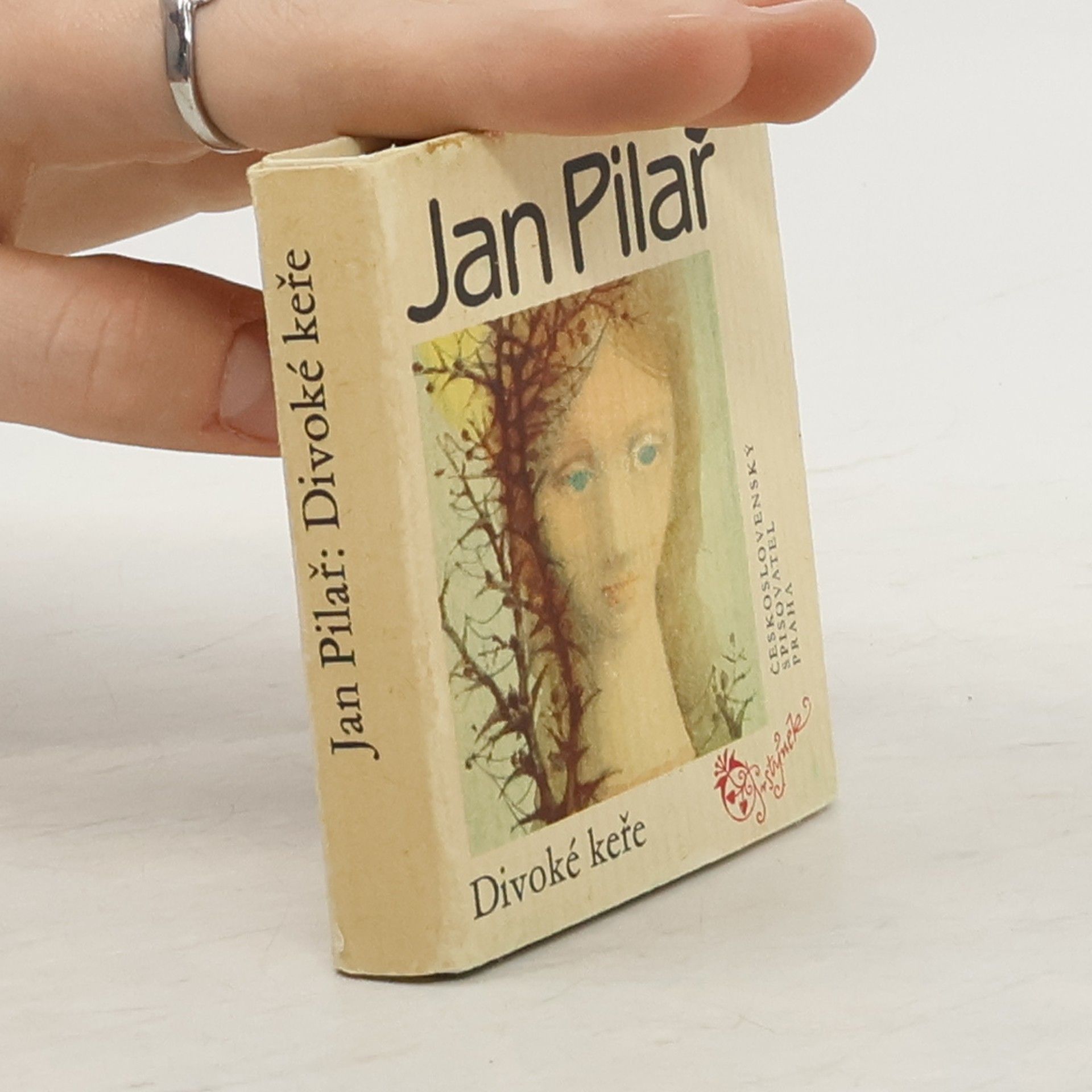 Jan Pilař Divoké keře