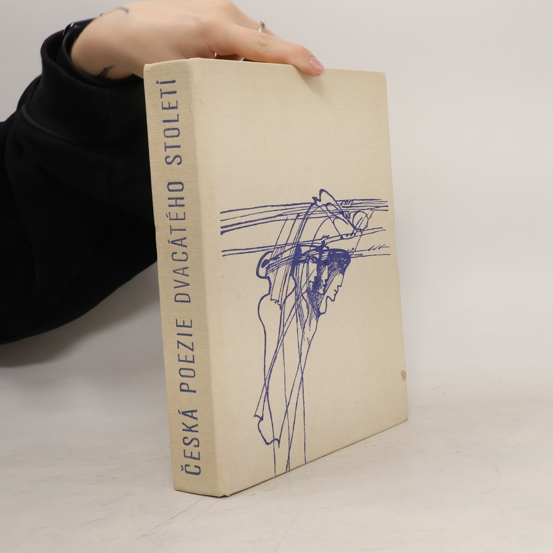 Kolektív autorov Česká poezie dvacátého století