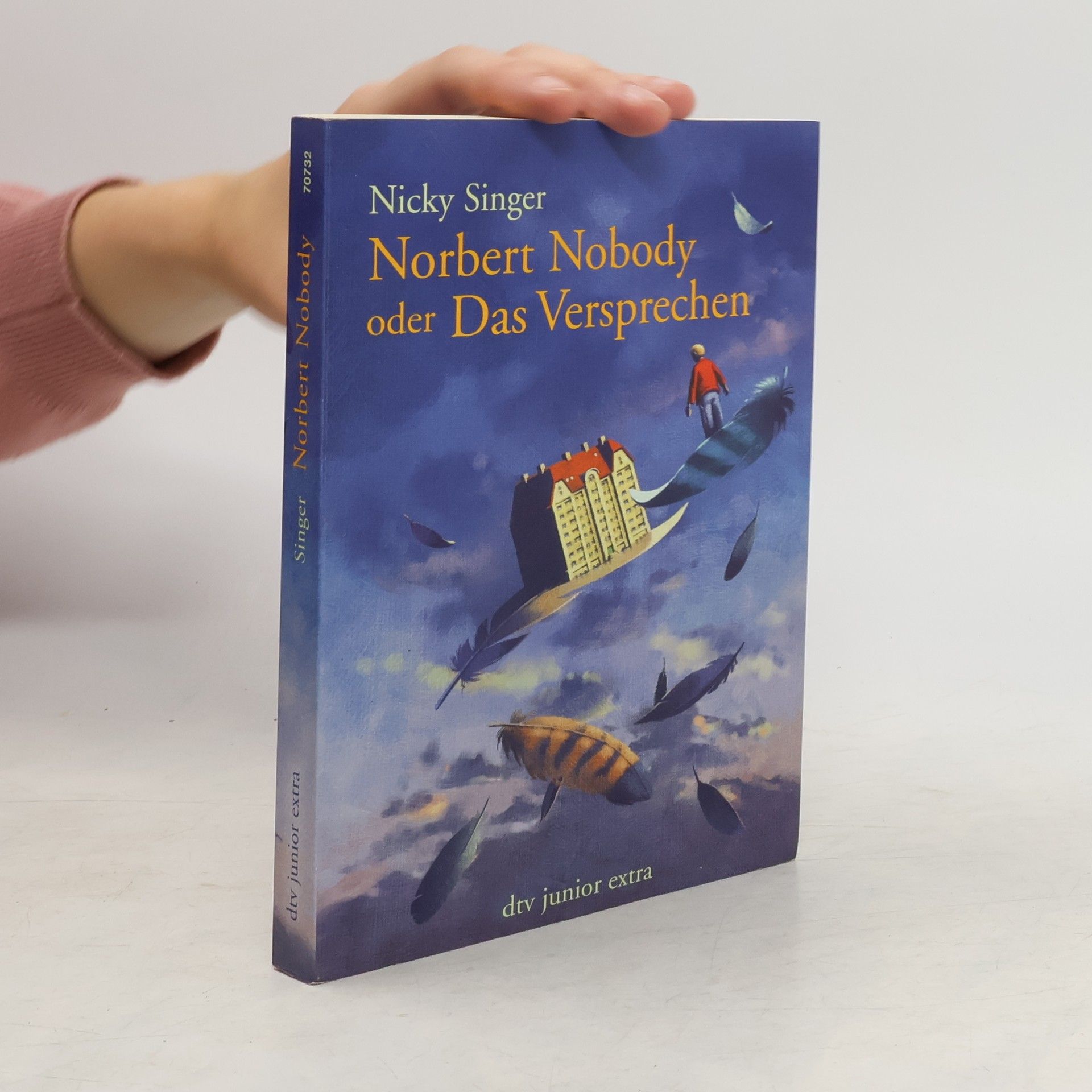 Nicky Singer Norbert Nobody oder das Versprechen