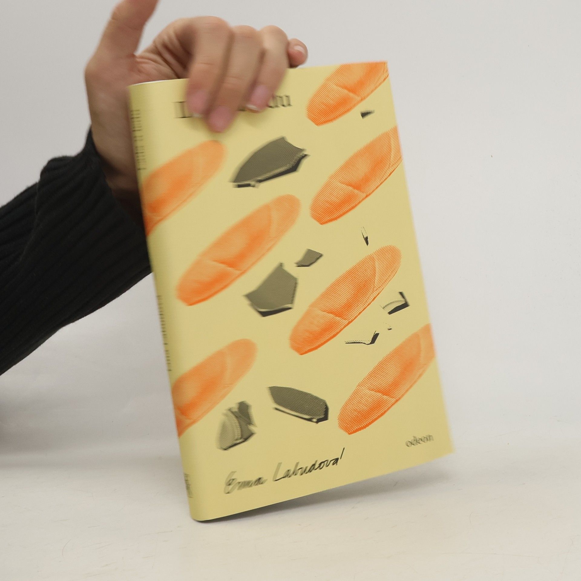 Ema Labudová Lada u ledu