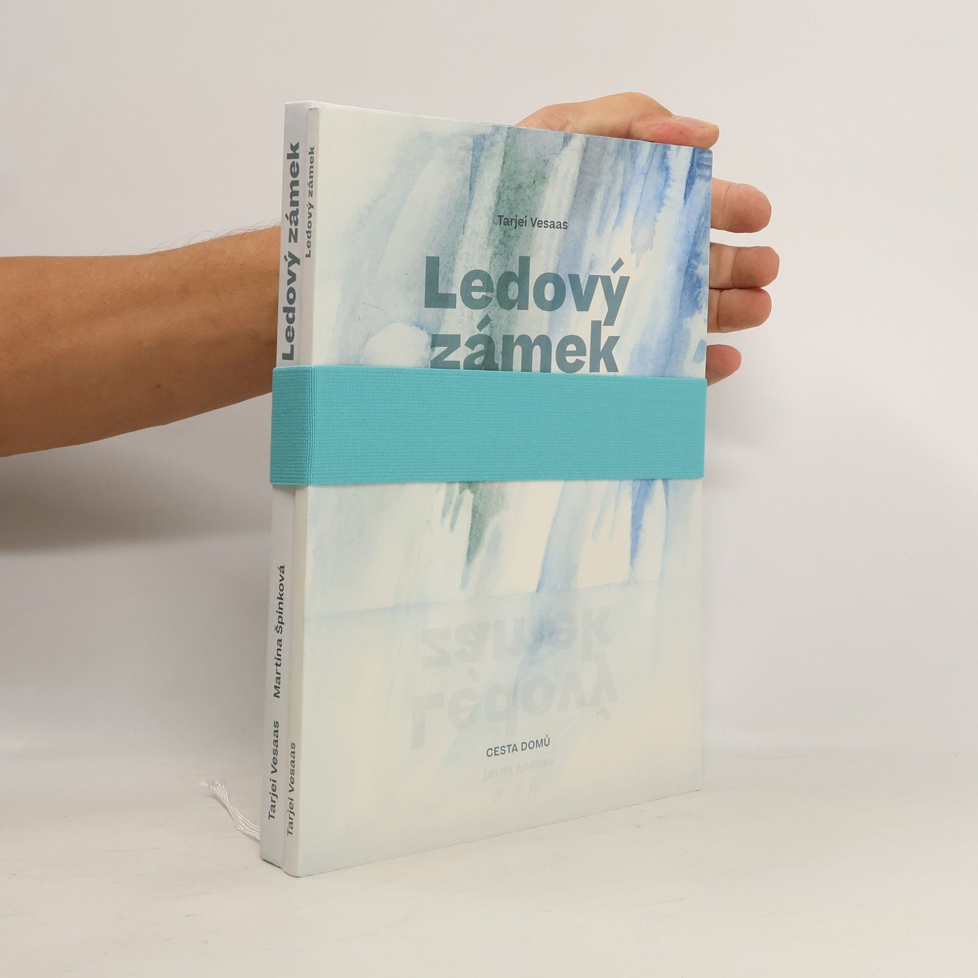 Ledový zámek. Kniha II