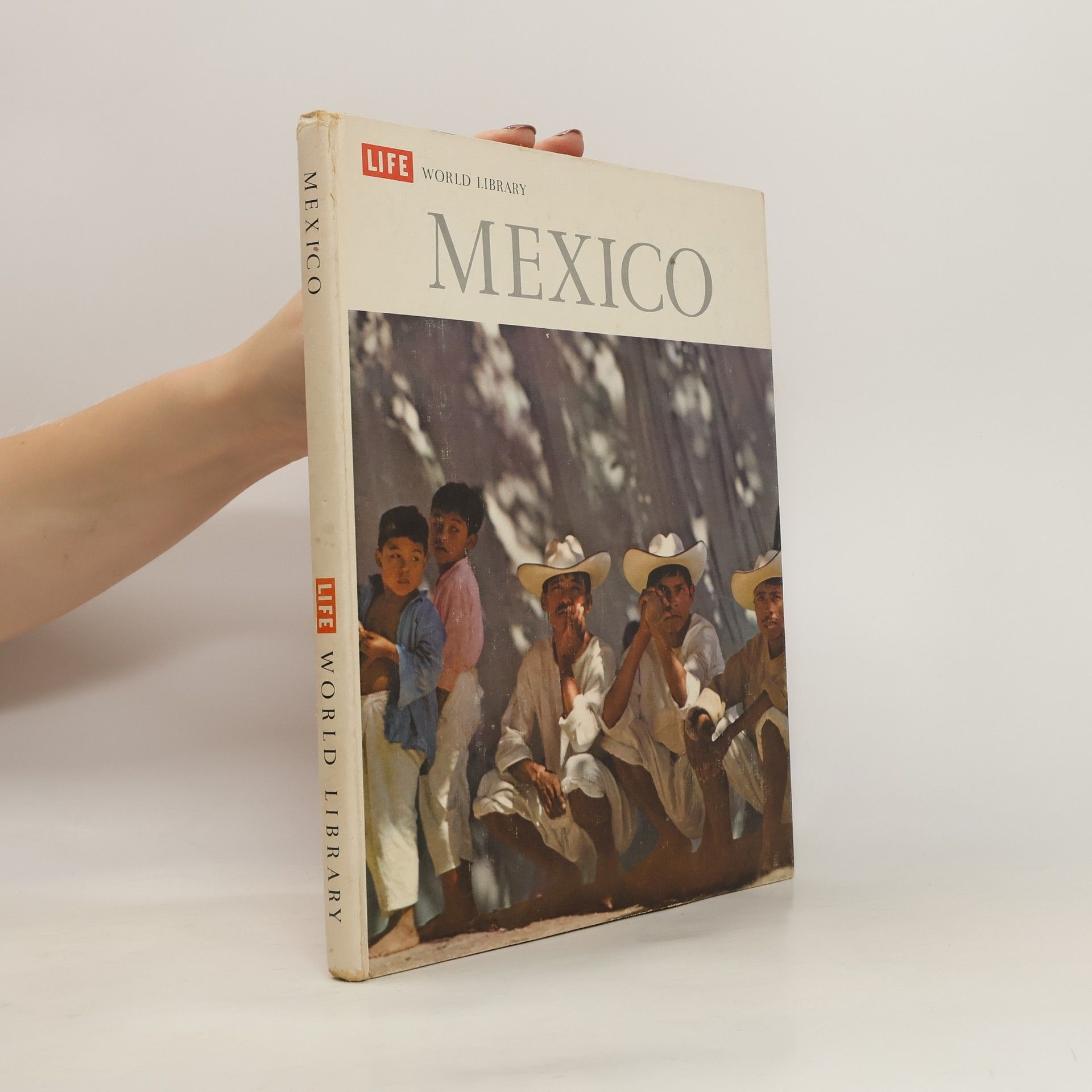 William Weber Johnson Mexico