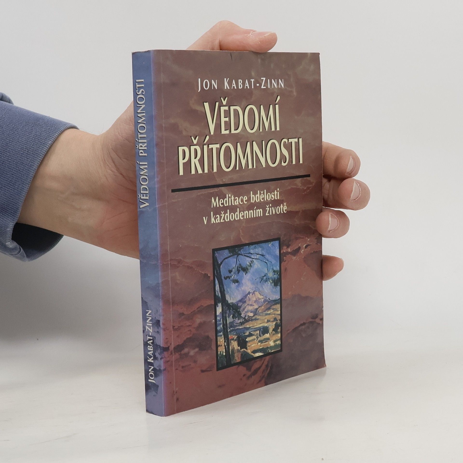 Vědomí přítomnosti: Meditace bdělosti v každodenním životě