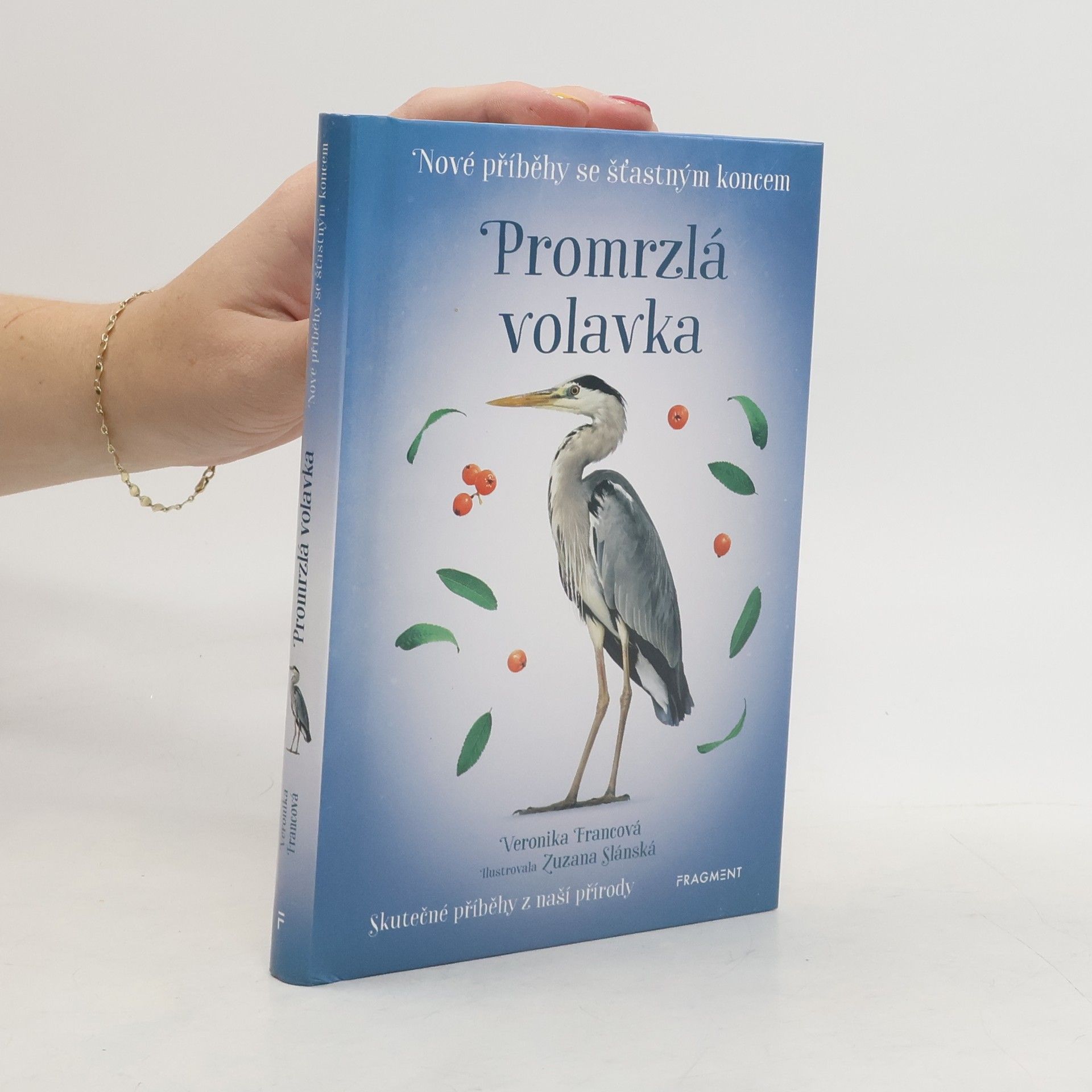 Veronika Francová Promrzlá volavka