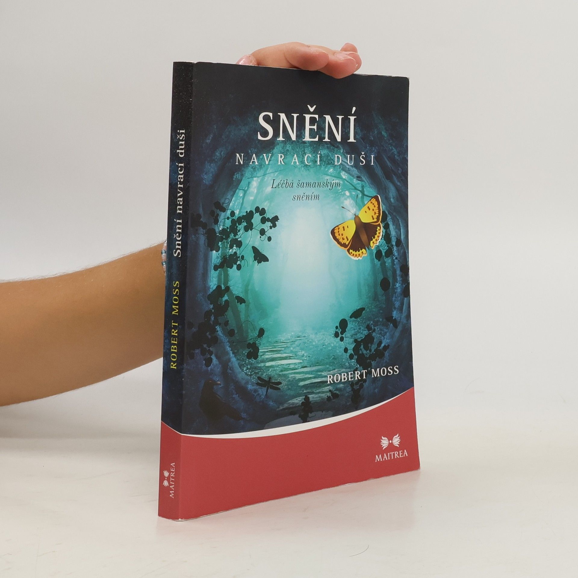 Robert Moss Snění navrací duši. Léčba šamanským sněním