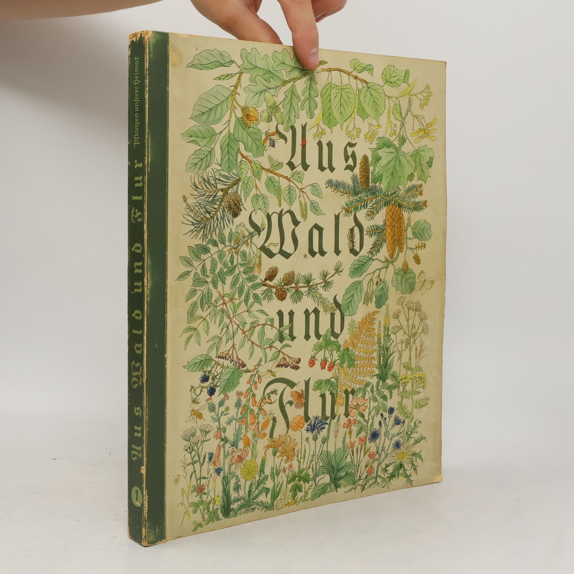 Kolektív autorov Aus Wald und Flur 1