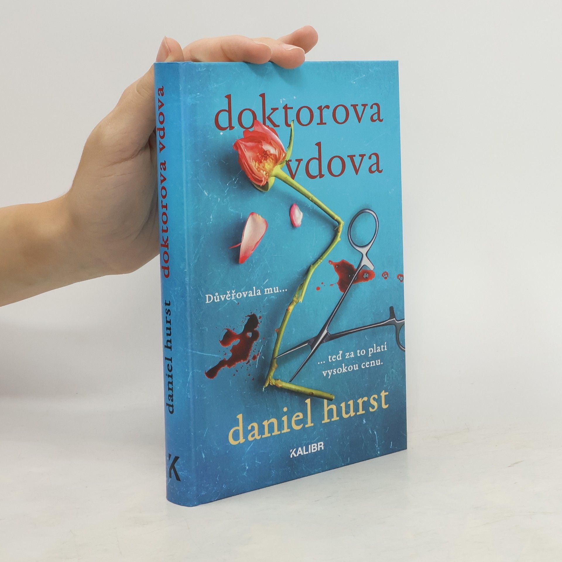 Daniel Hürst Doktorova vdova
