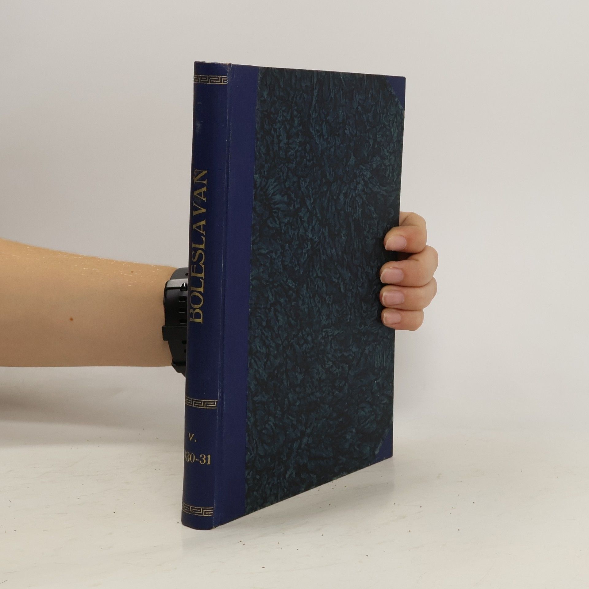 Kolektiv autorů Boleslavan. Vlastivědný sborník Mladoboleslavska a Benátecka. Ročník V.