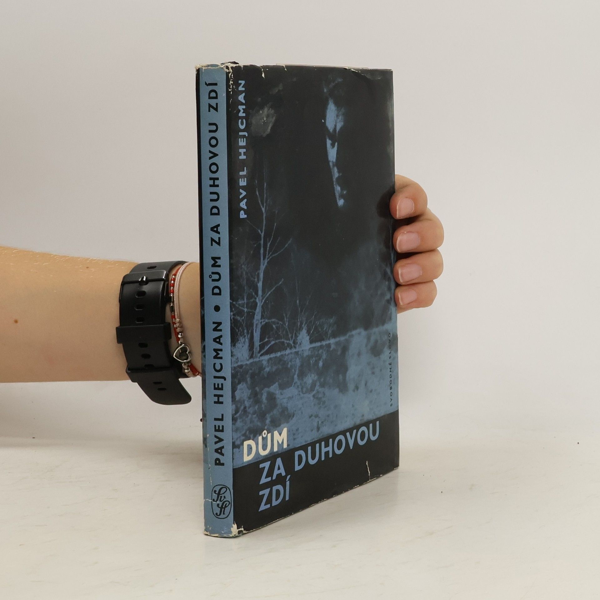 Pavel Hejcman Dům za duhovou zdí