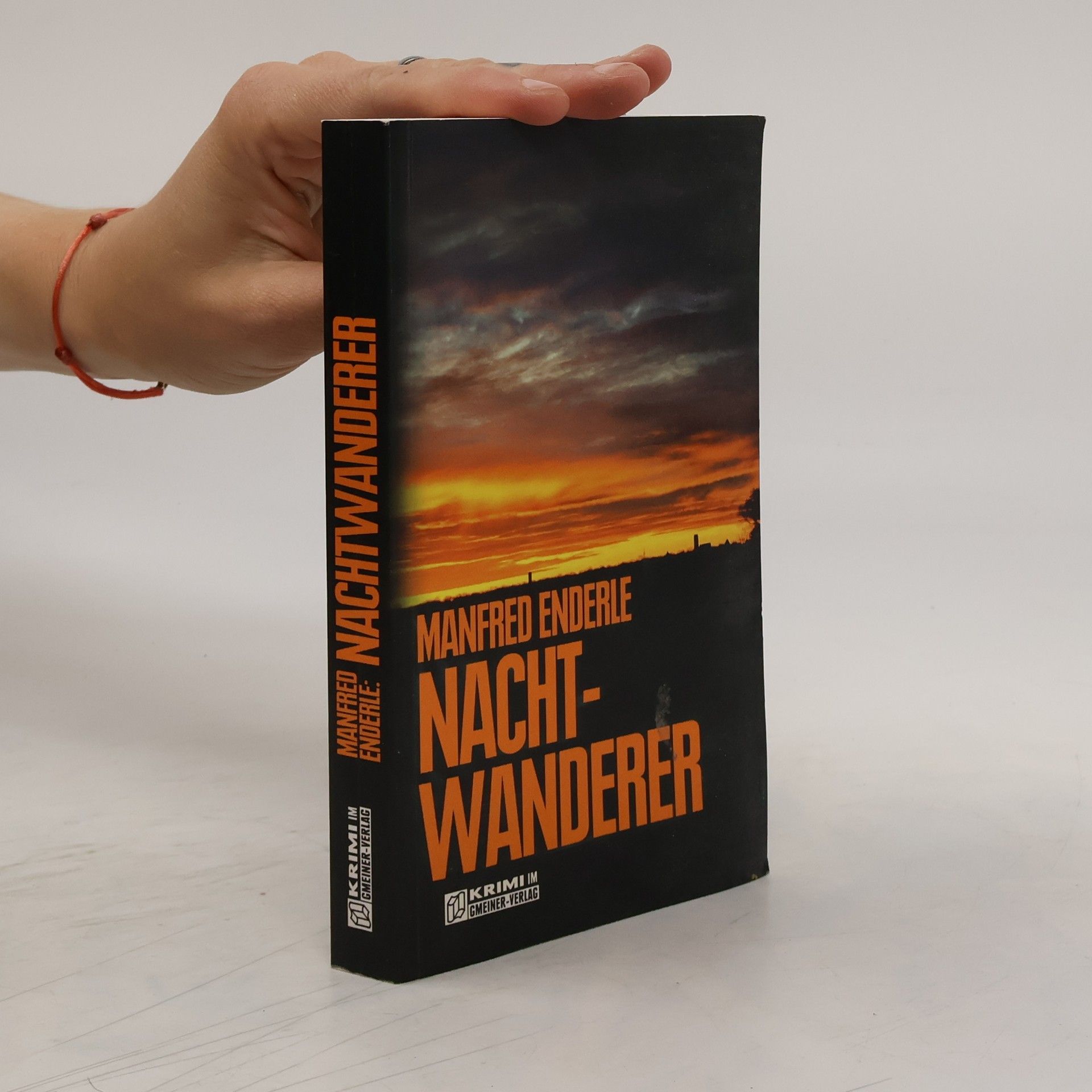 Manfred Enderle Nachtwanderer