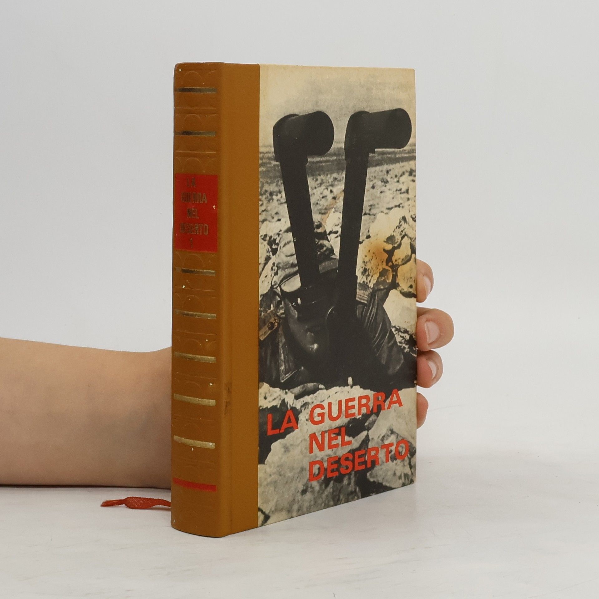 AA.VV. La guerra nel deserto 1