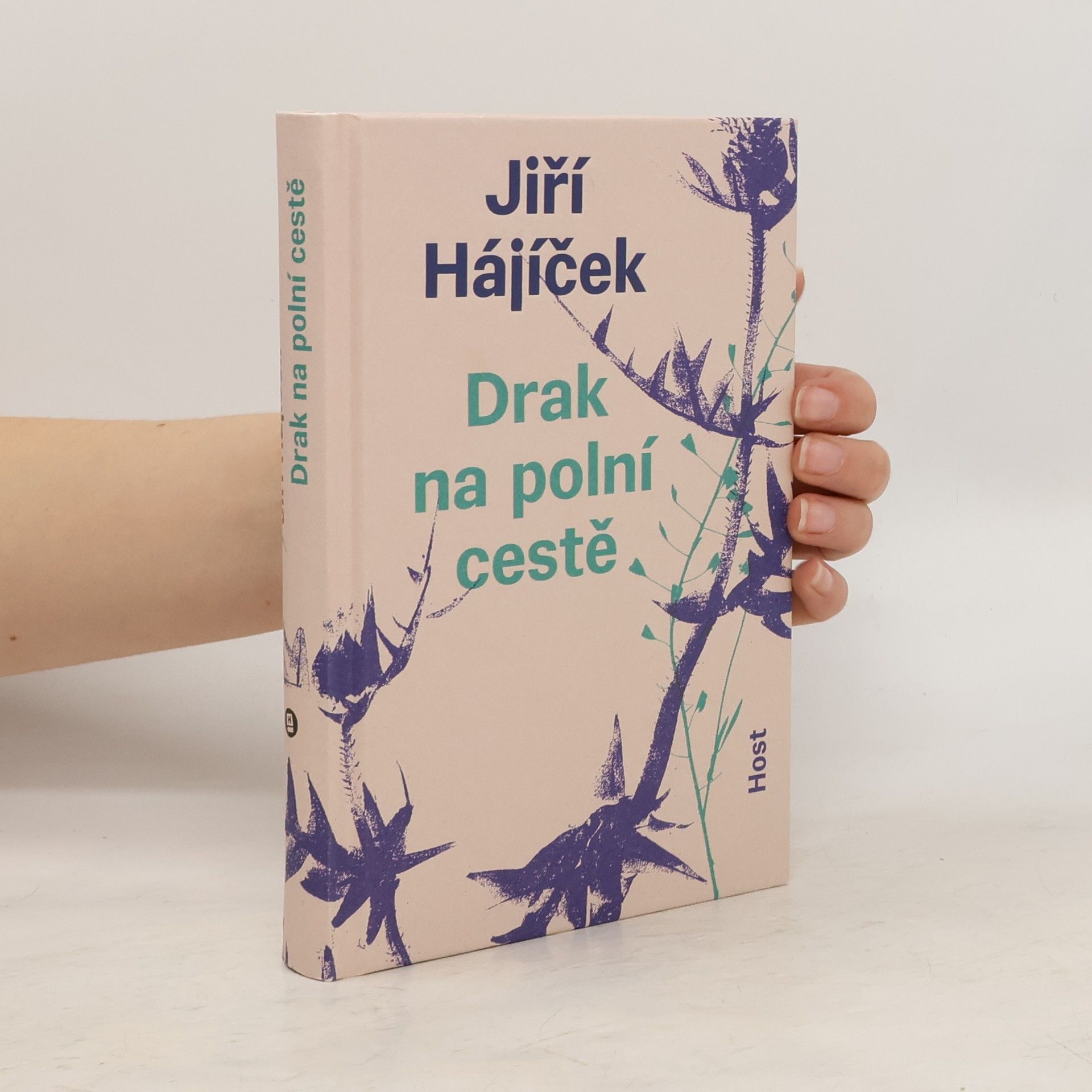 Jiří Hájíček Drak na polní cestě