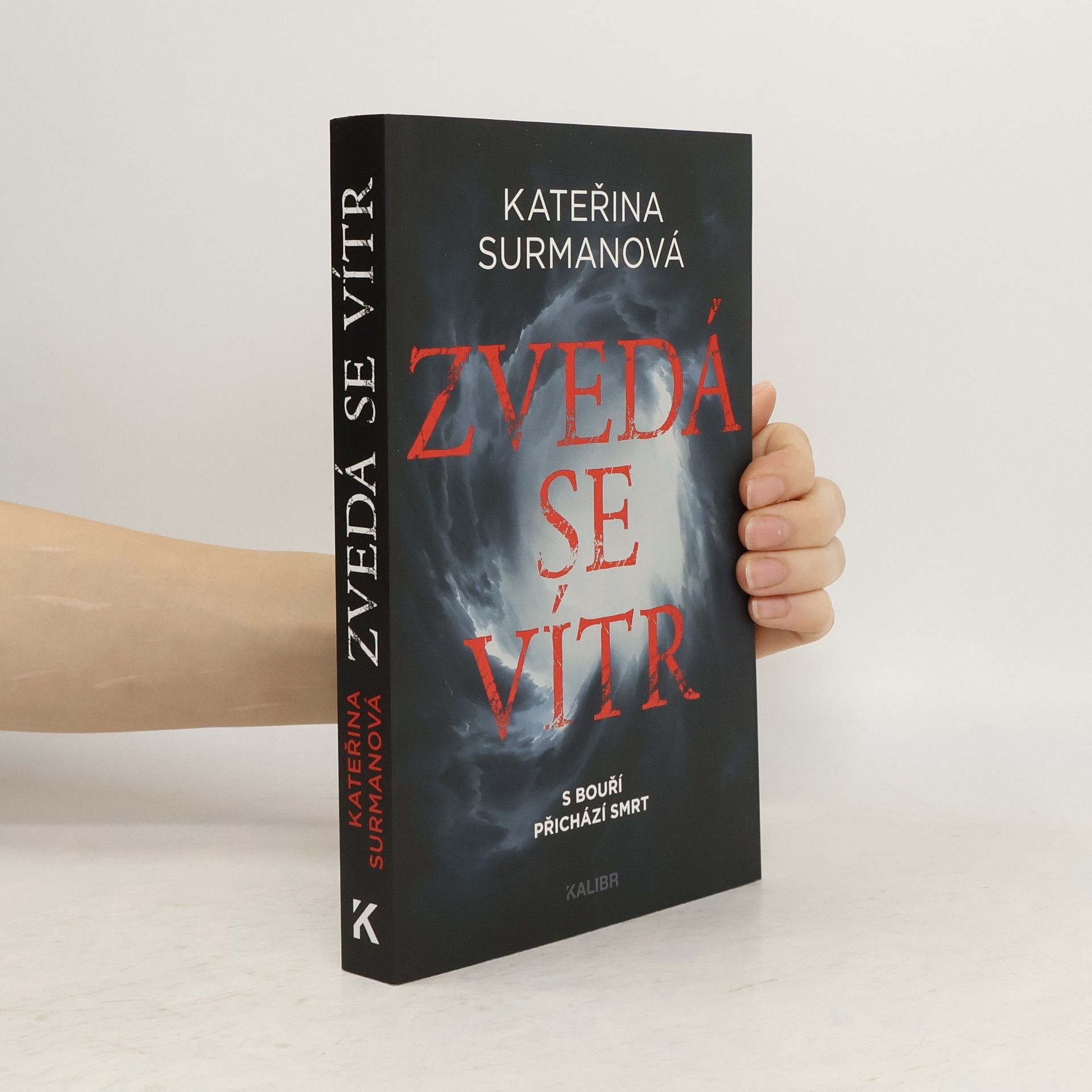 Kateřina Surmanová Zvedá se vítr