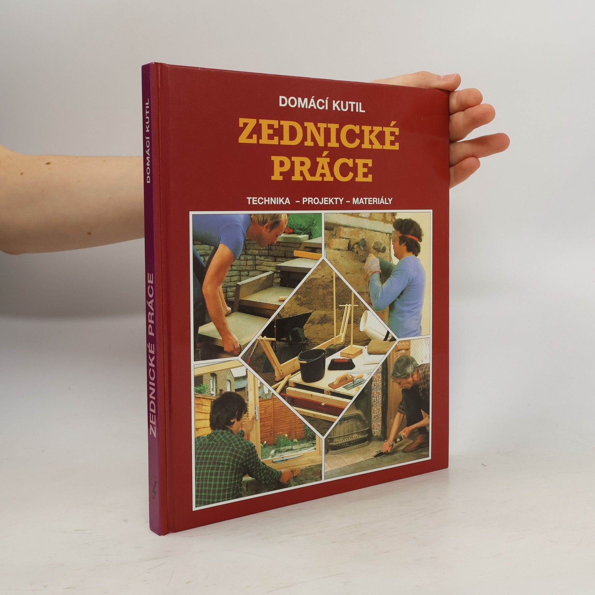 Alexandr Popov Zednické práce. Technika, projekty, materiály