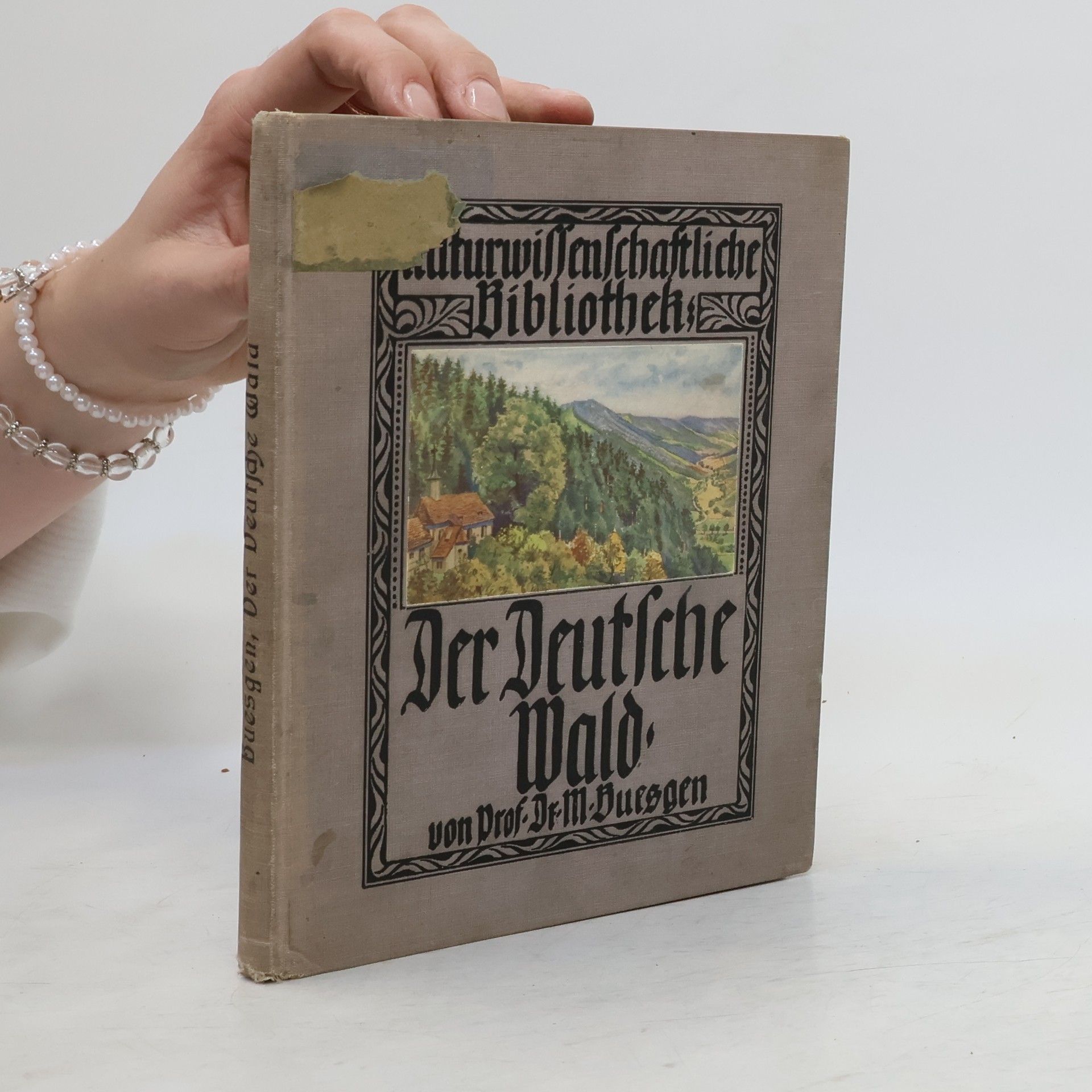 M. Buesgen Der deutsche Wald