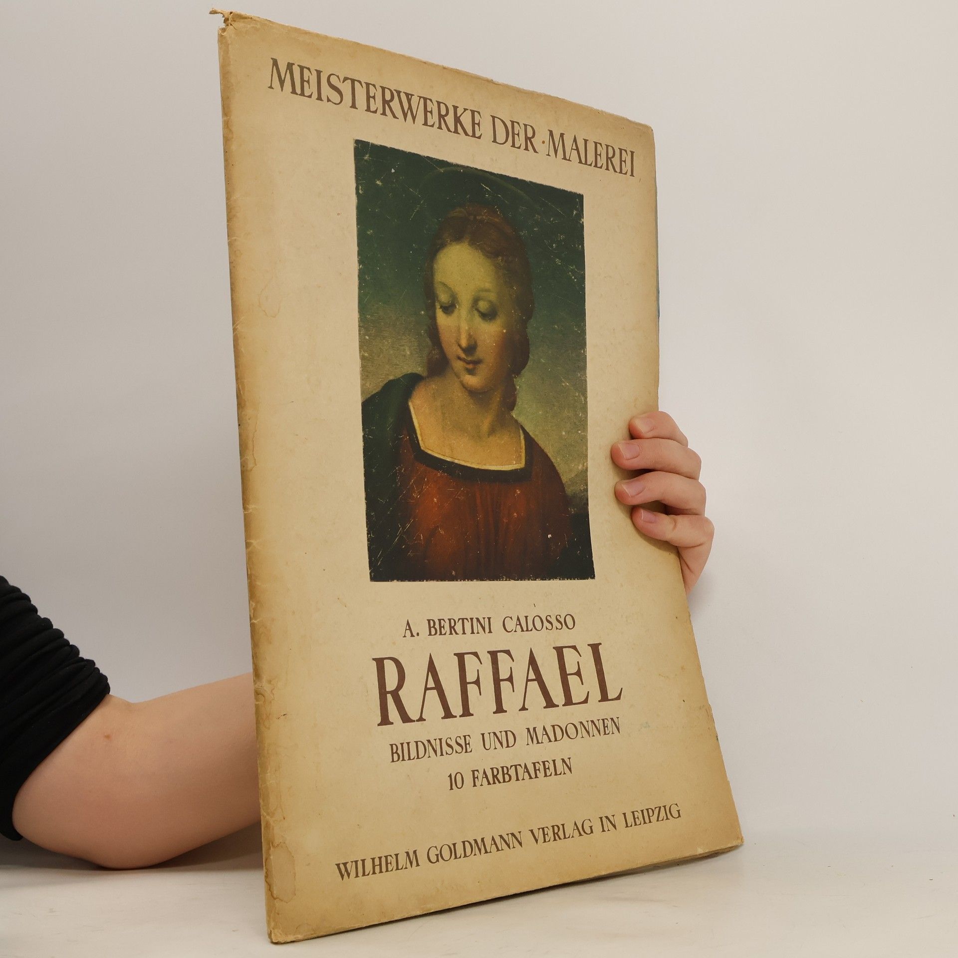 AA.VV. Meisterwerke der Malerei. Raffael