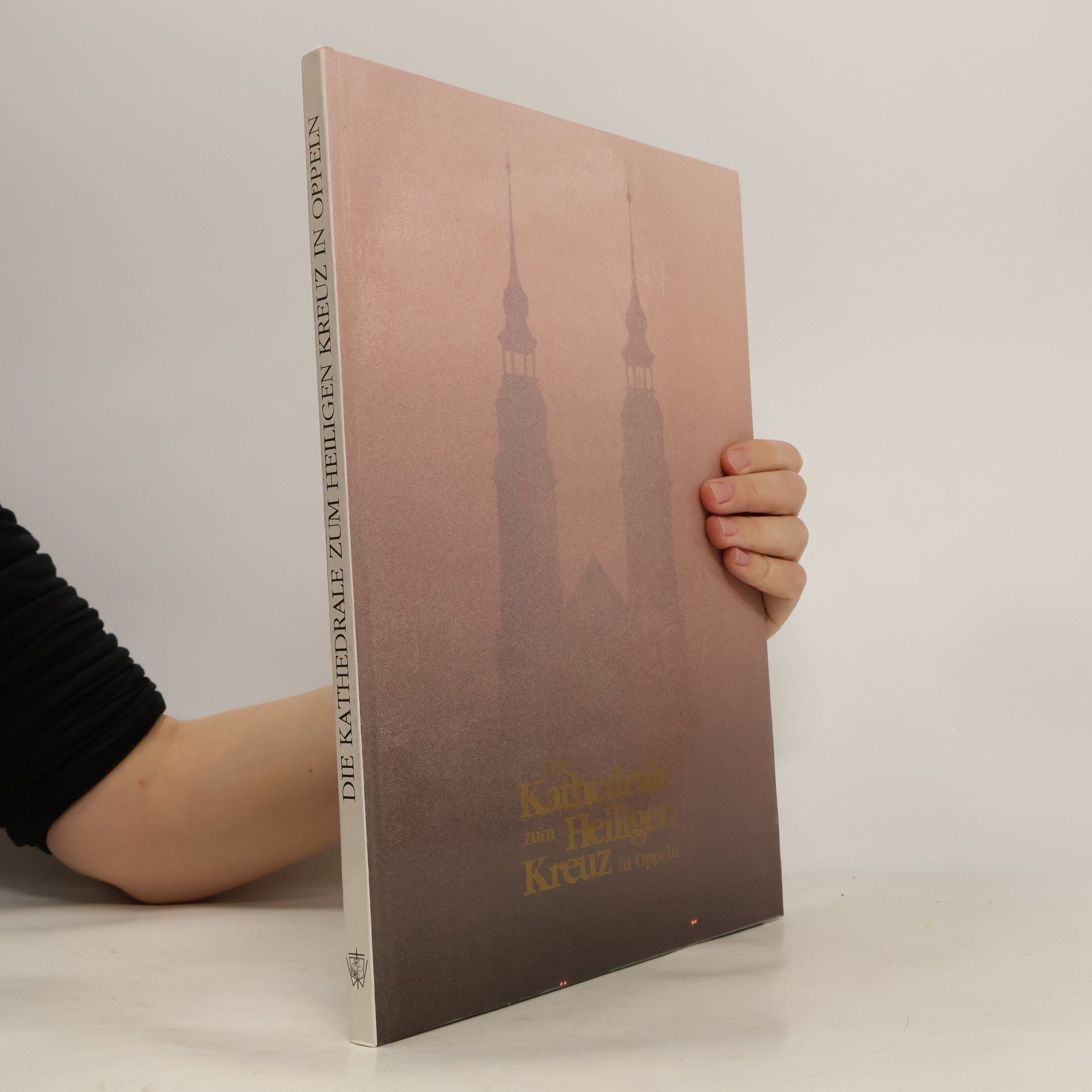 Stefan Baldy Die Kathedrale zum Heiligen Kreuz in Oppeln