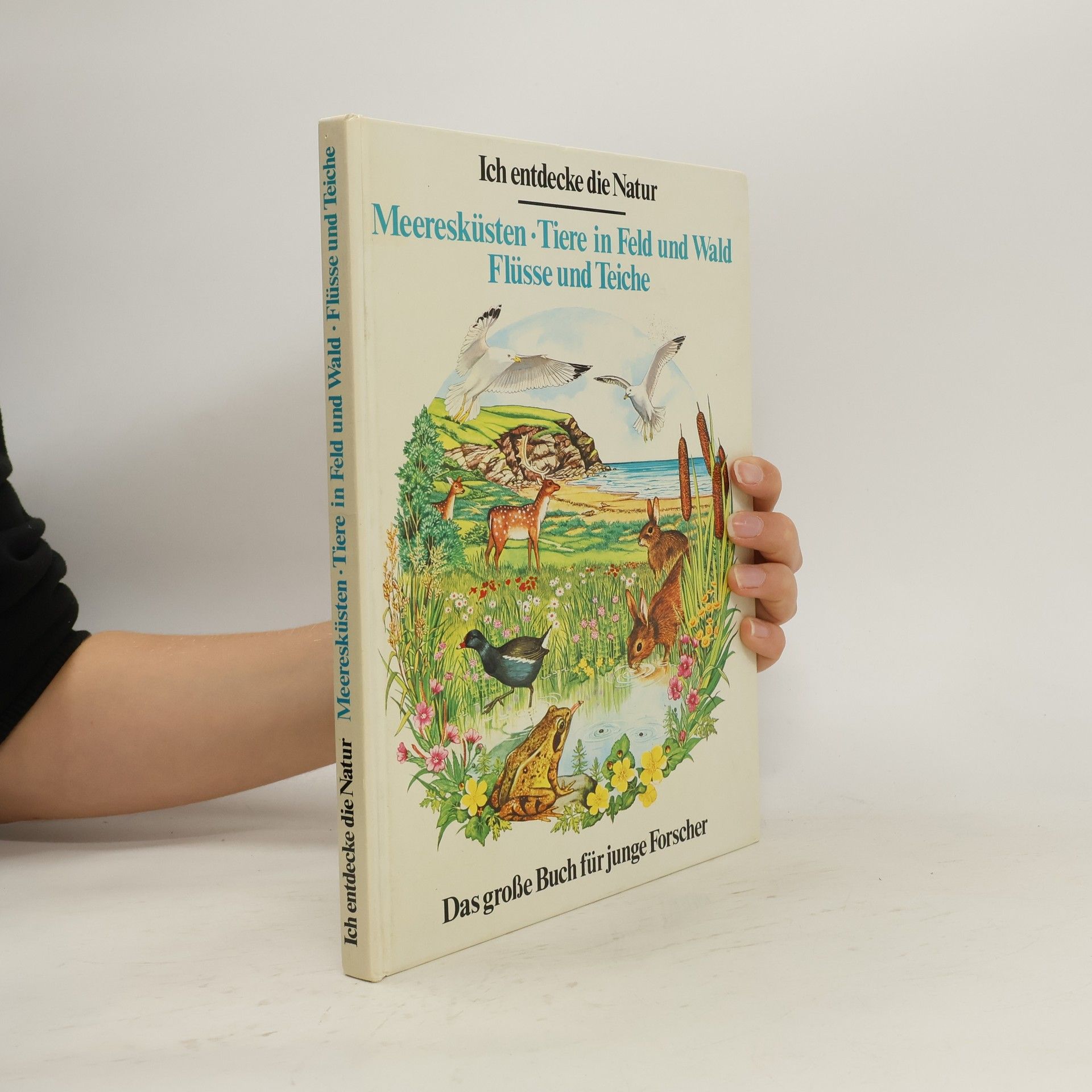 Collectif d'auteurs Ich entdecke die Natur: Meeresküsten, Tiere in Feld und Wald, Flüsse und Teiche