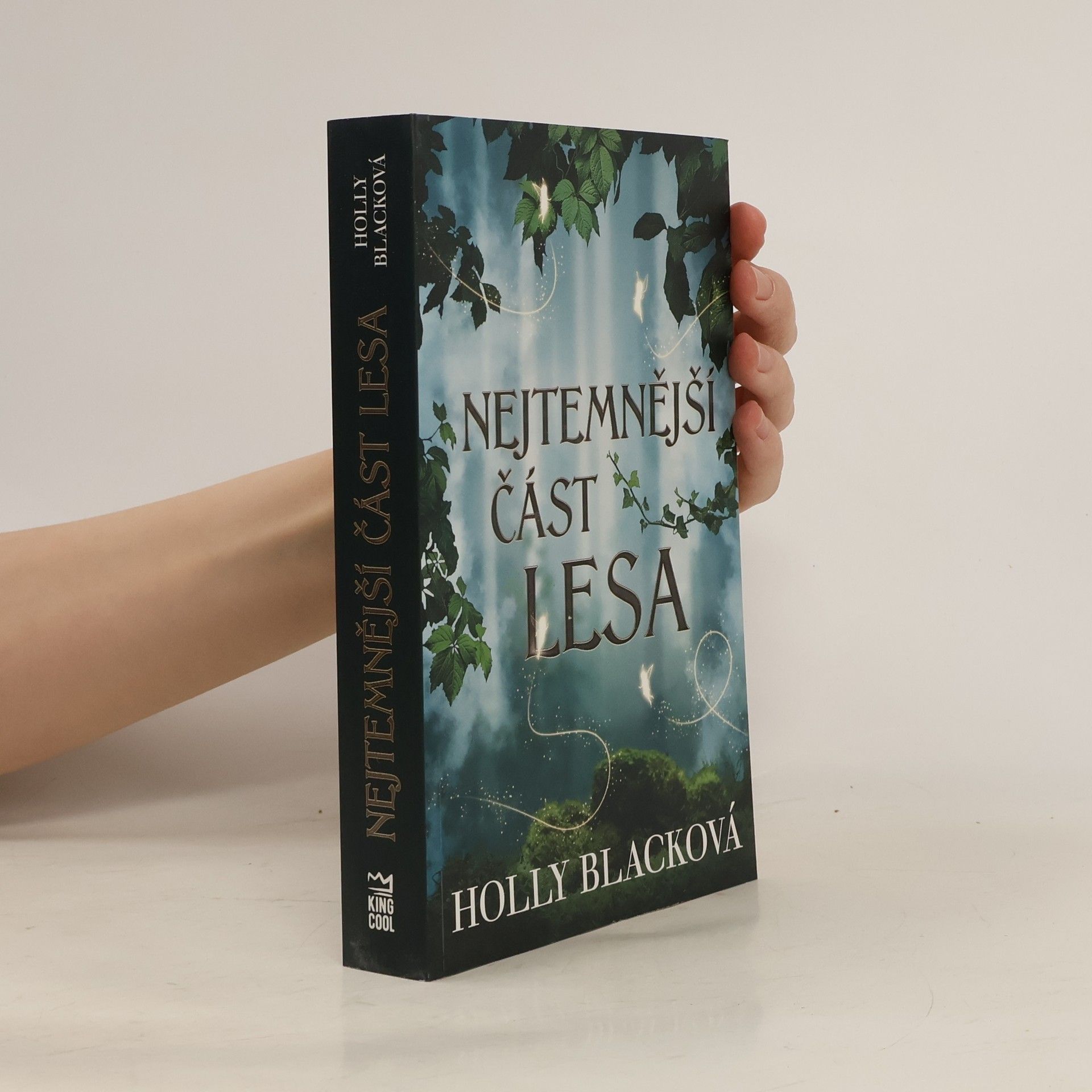 Holly Black Nejtemnější část lesa