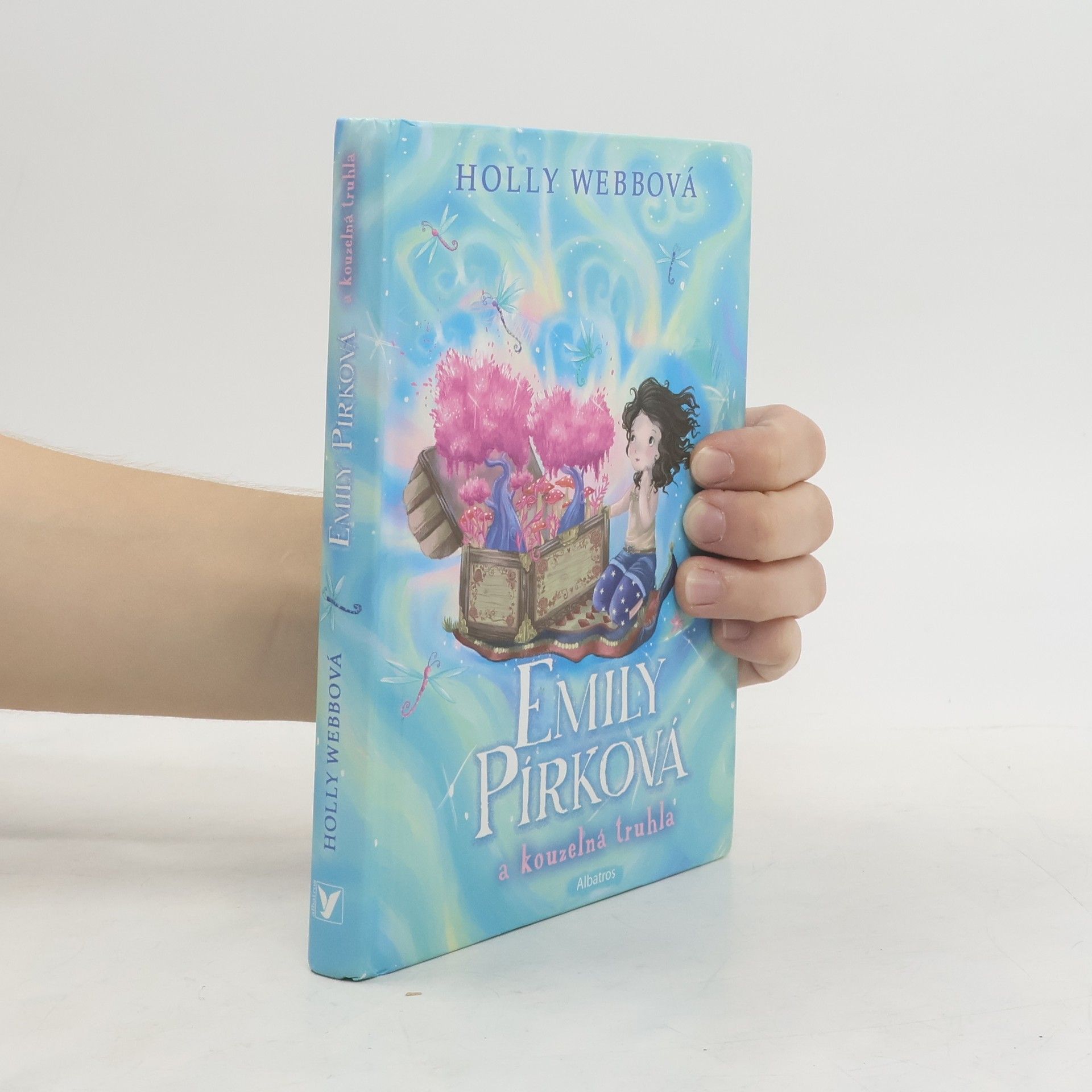 Holly Webb Emily Pírková a kouzelná truhla