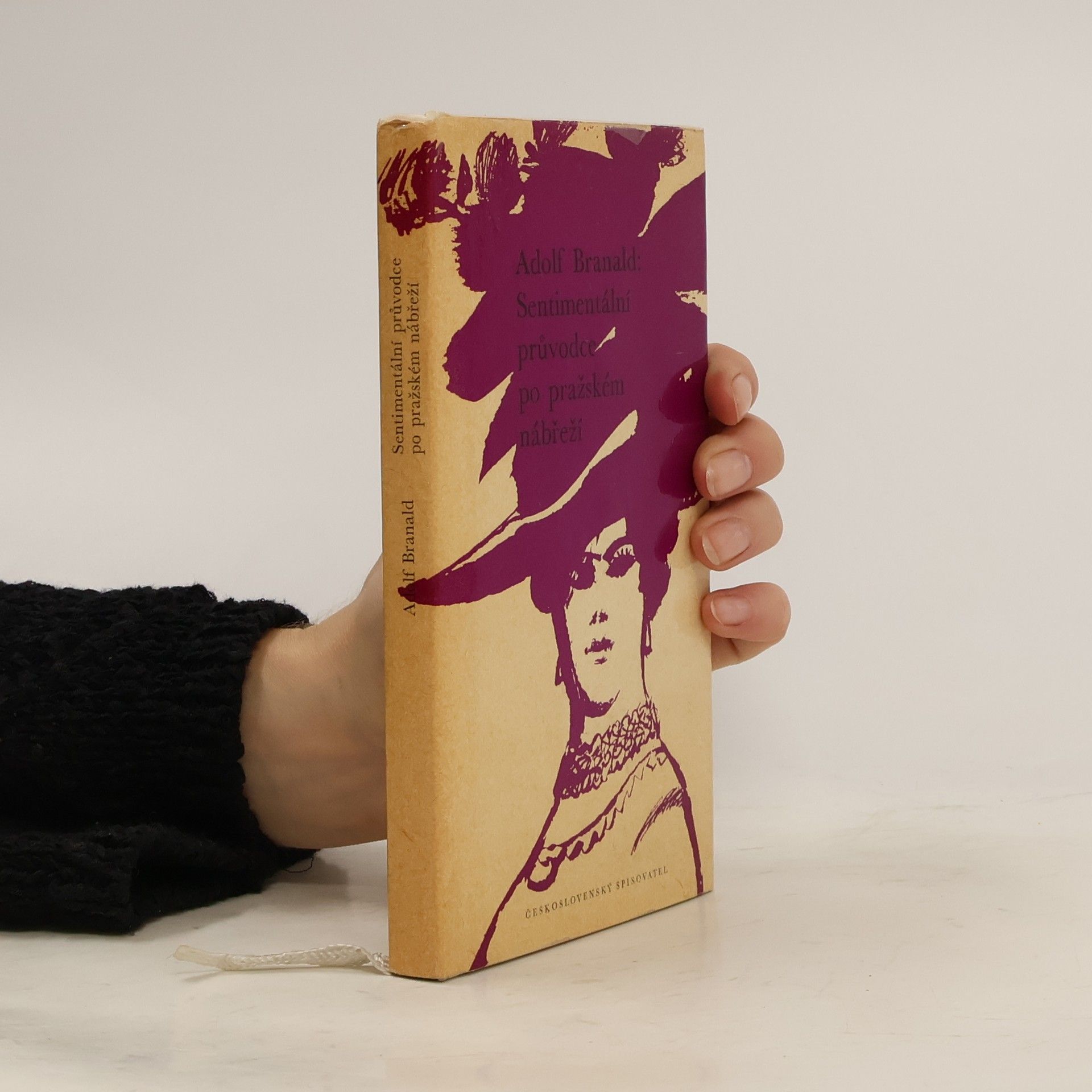 Adolf Branald Sentimentální průvodce po pražském nábřeží