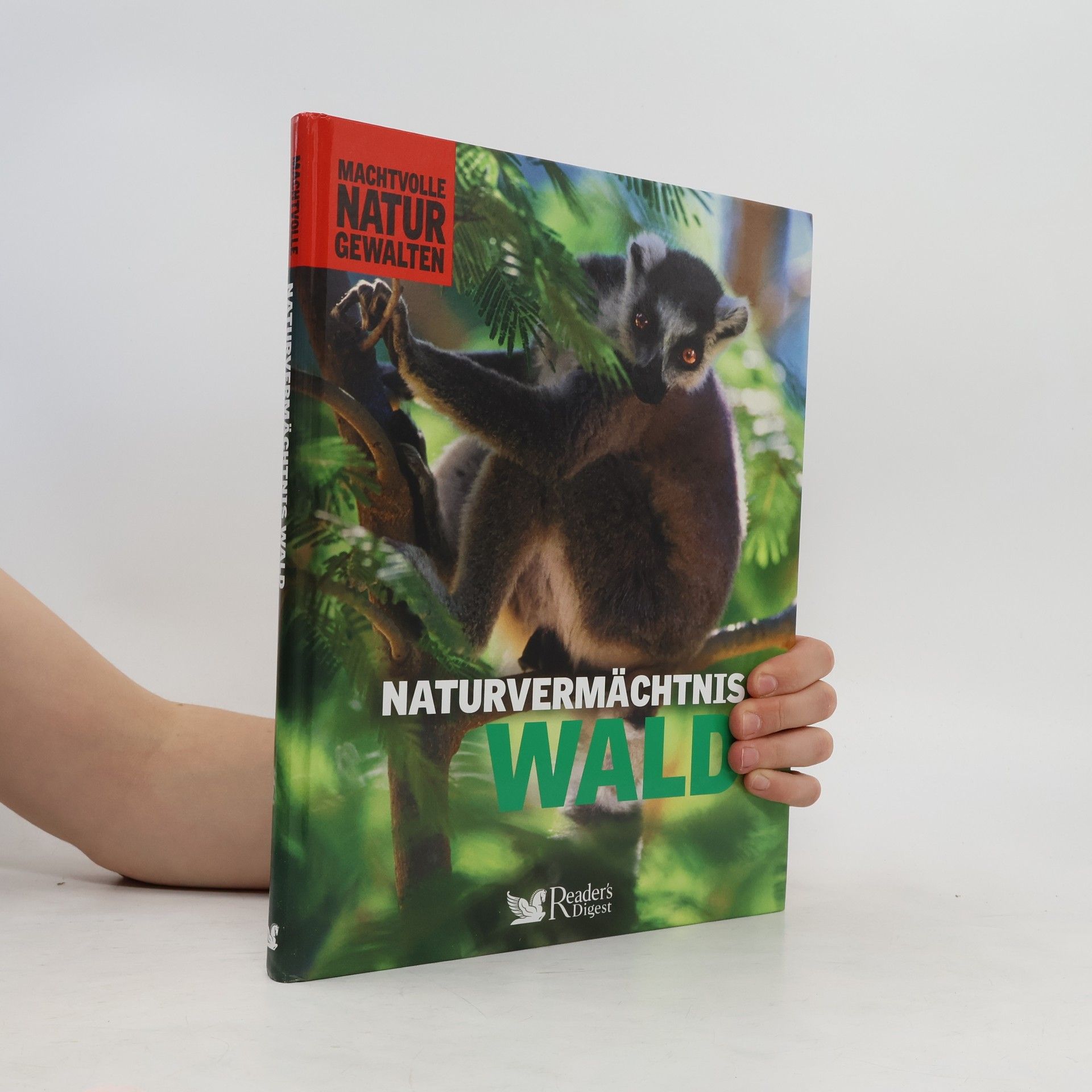 Kolektiv autorů Naturvermächtnis Wald