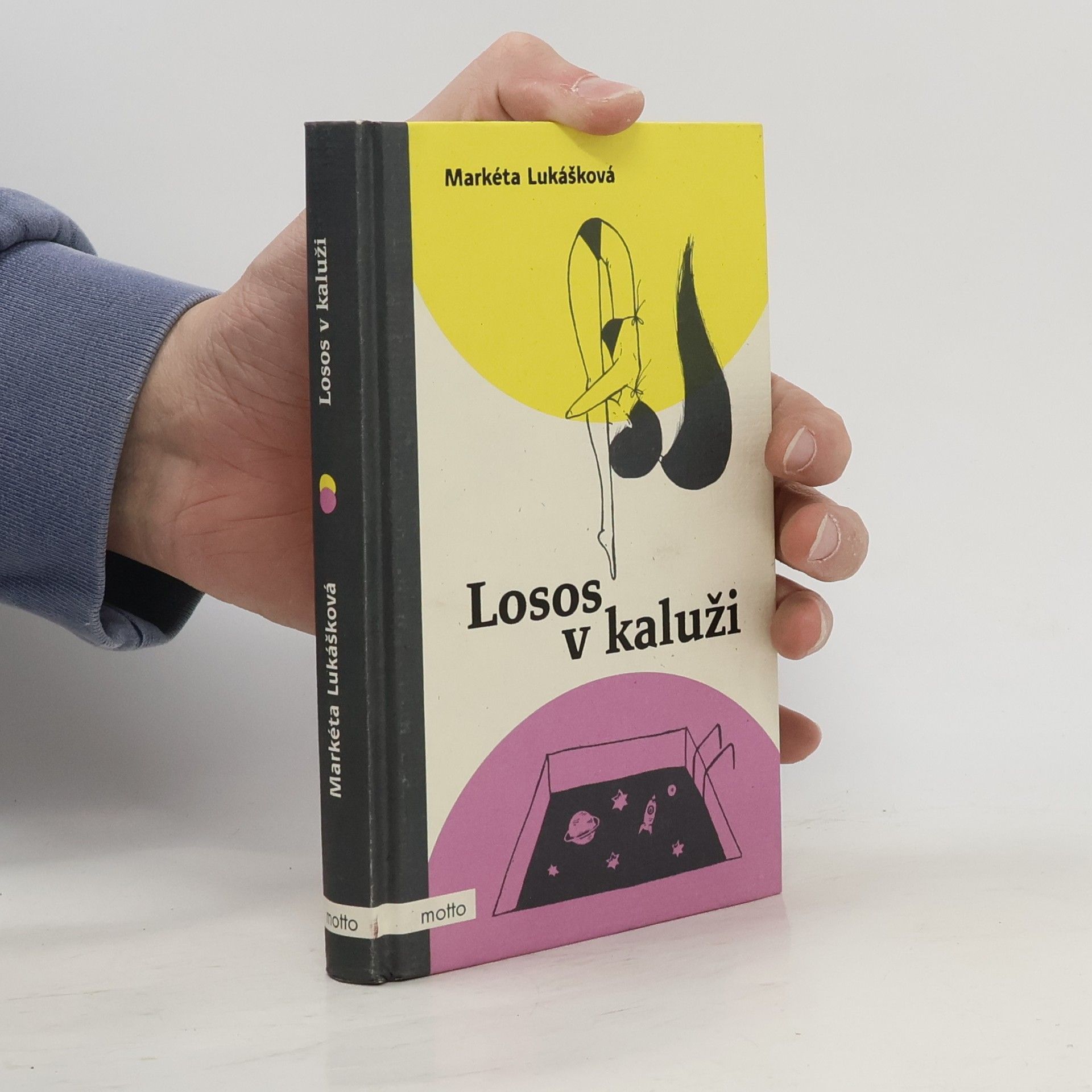 Markéta Lukášková Losos v kaluži