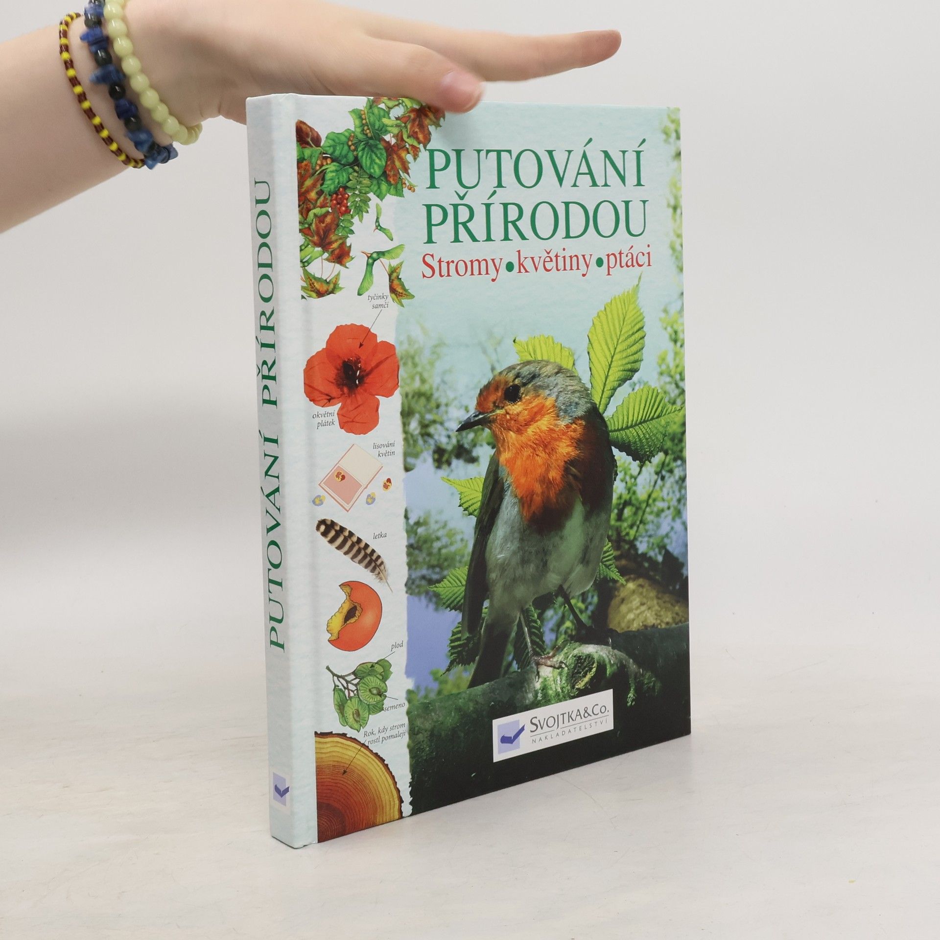 Collectif d'auteurs Putování přírodou: Stromy, květiny, ptáci