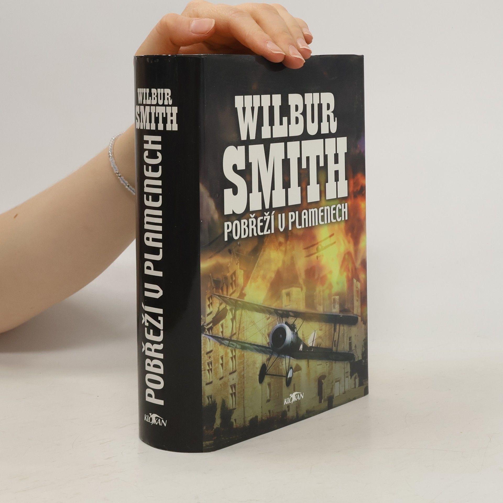 Wilbur Smith Pobřeží v plamenech