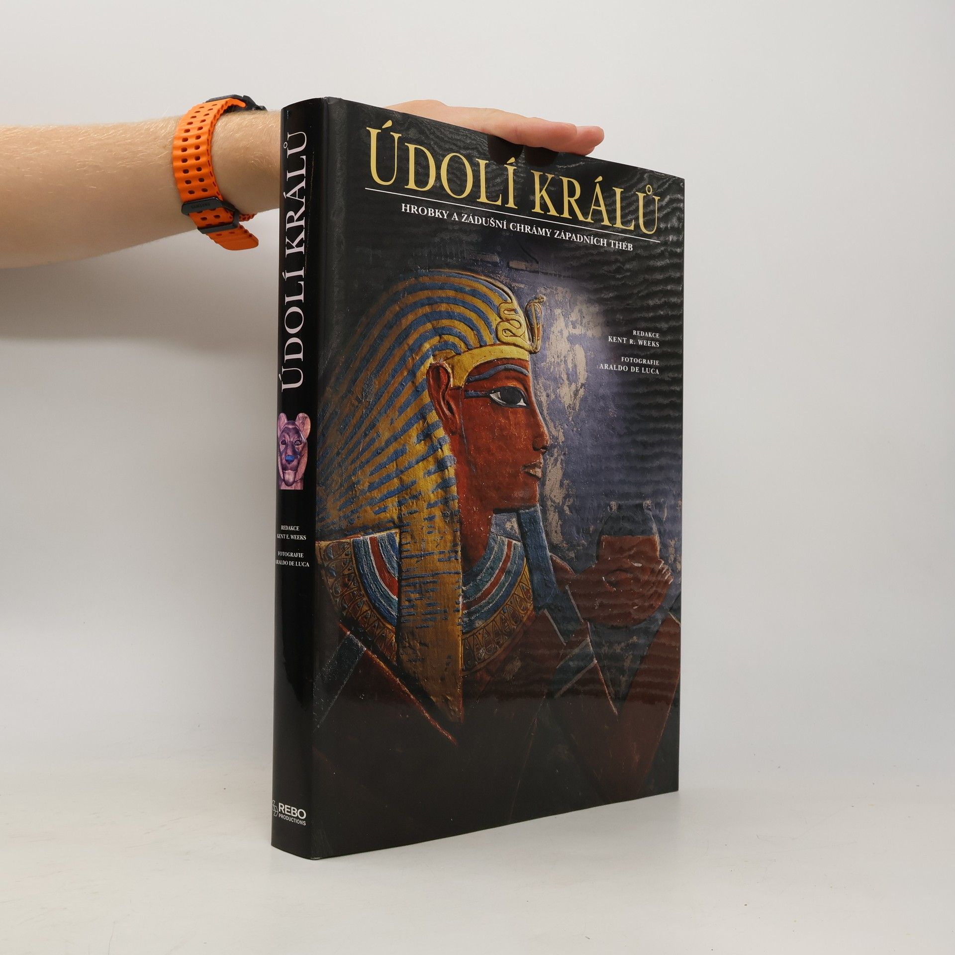 Údolí králů : hrobky a zádušní chrámy západních Théb