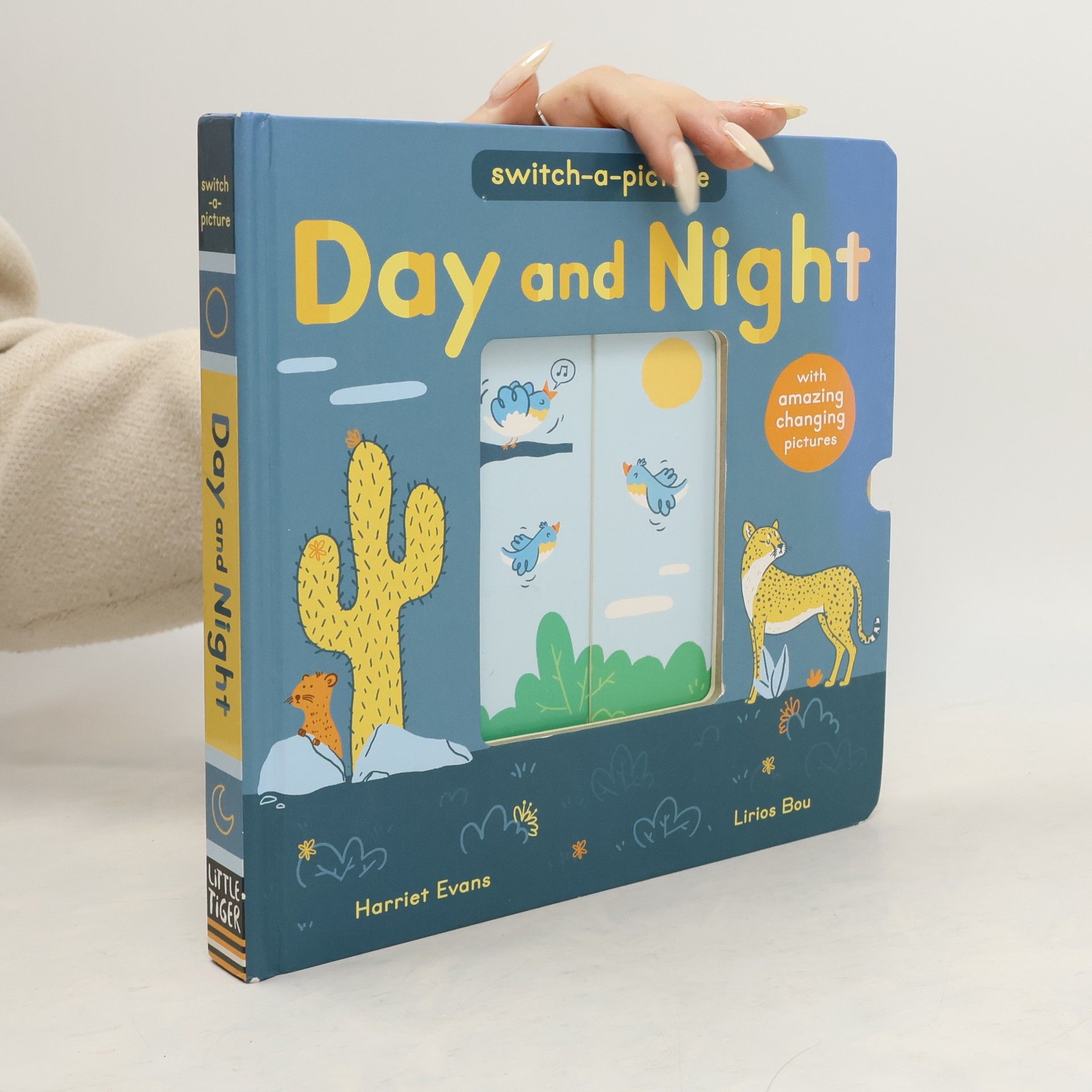 Harriet Evans Day and Night