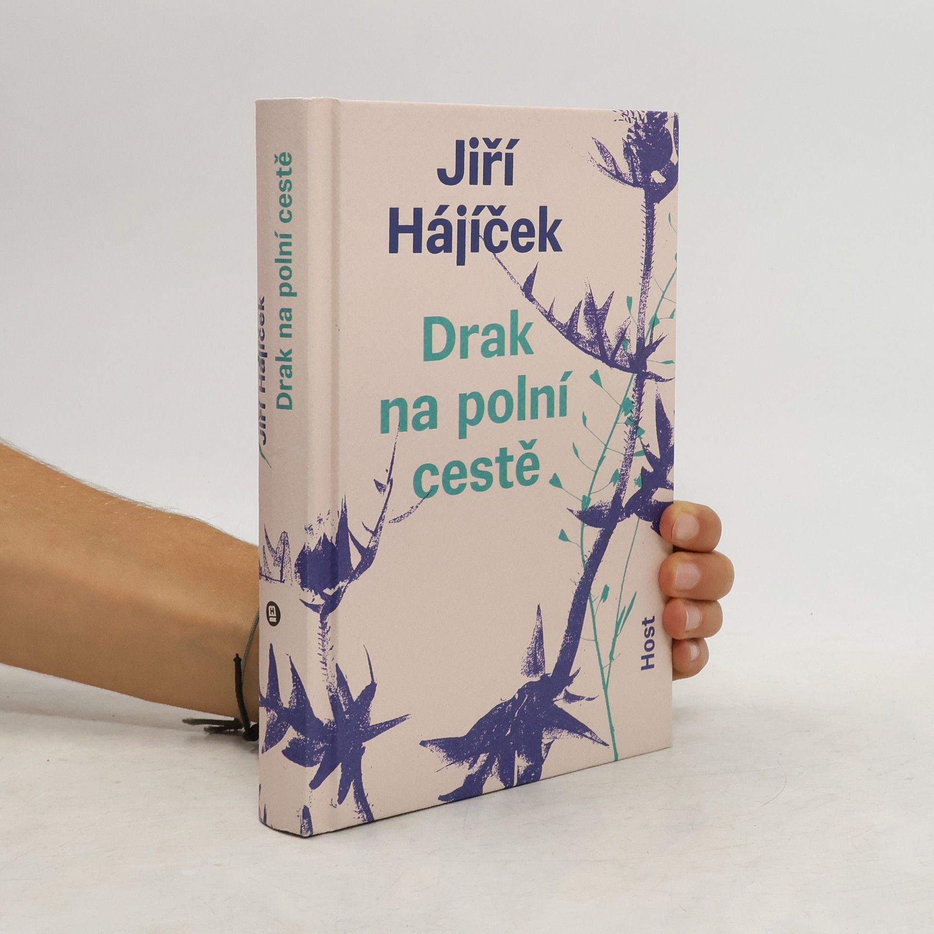 Drak na polní cestě