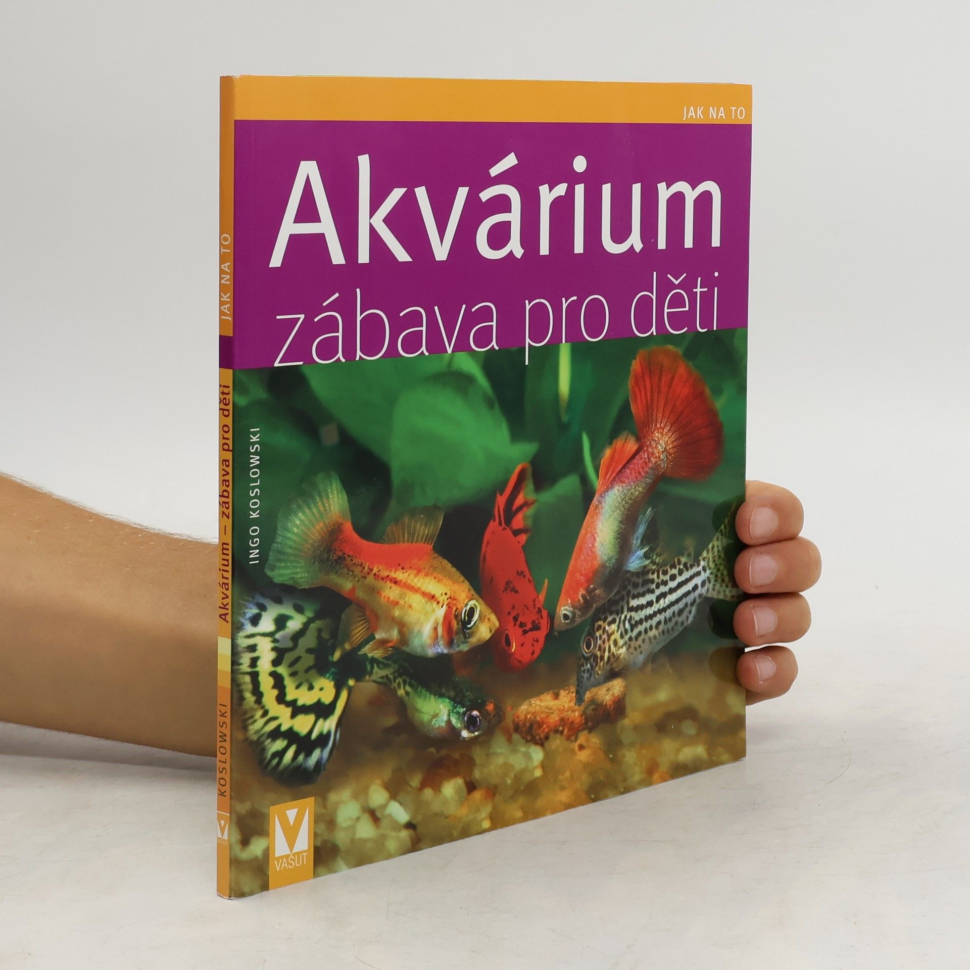Akvárium - zábava pro děti