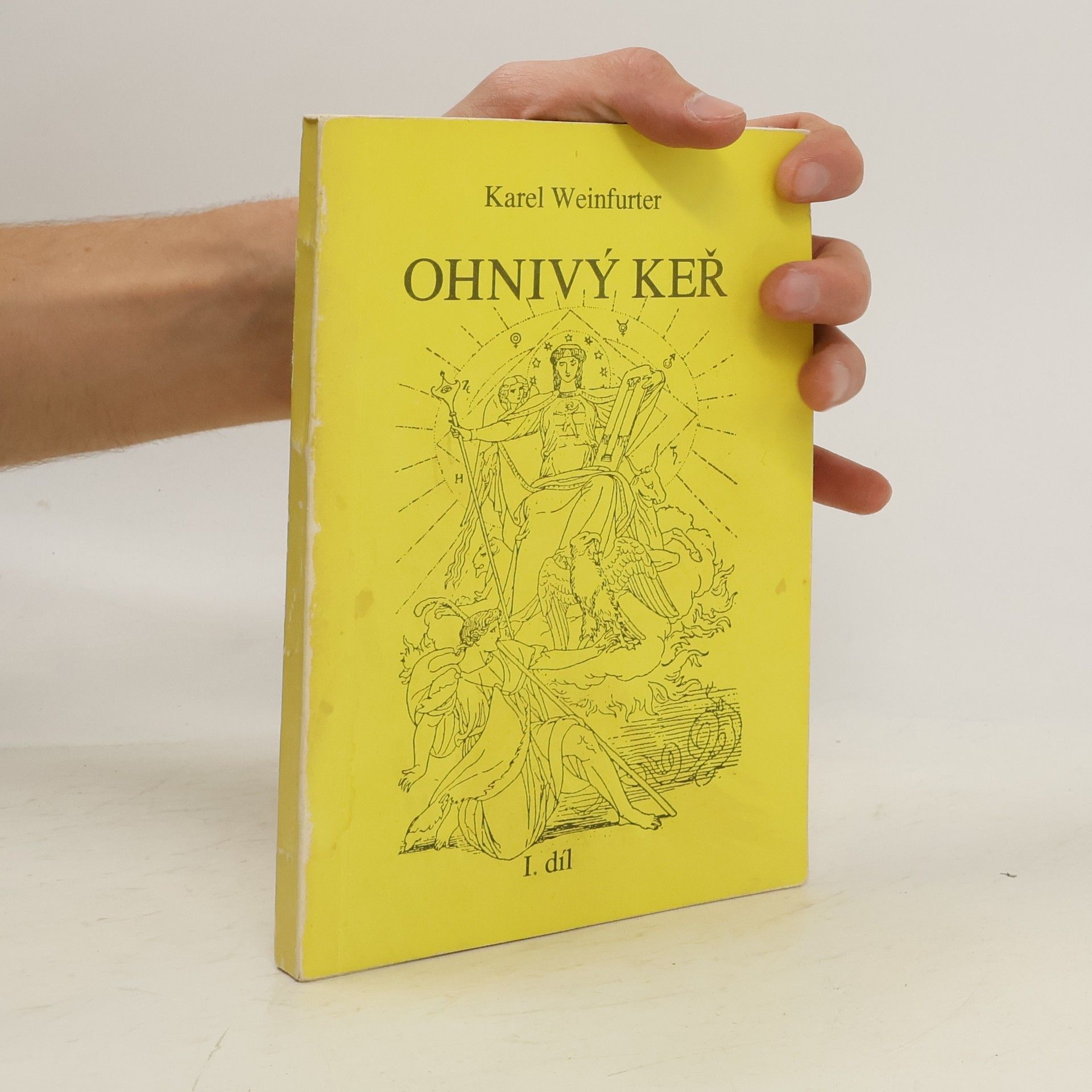 Karel Weinfurter Ohnivý keř. Odhalená cesta mystická. 1. díl